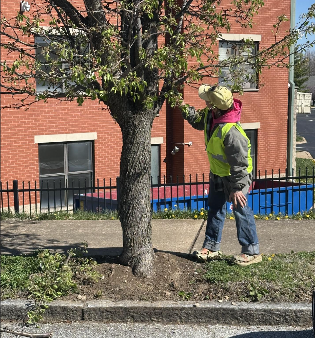 Neighborhood Beautification Efforts