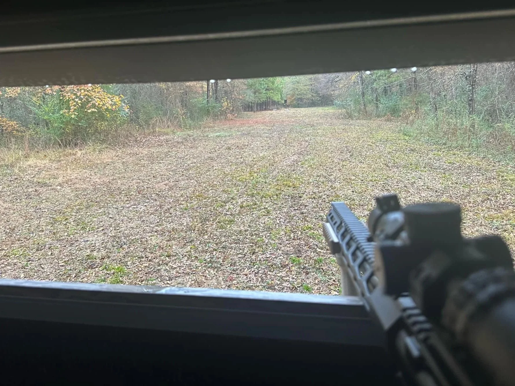 View through window of a firearm pointing outside at a wooded clearing with trees and leaves on the ground.