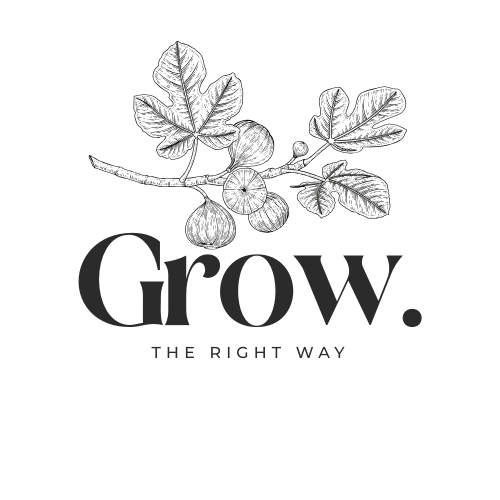  Business Growth Consultant &amp; Leadership Coach"