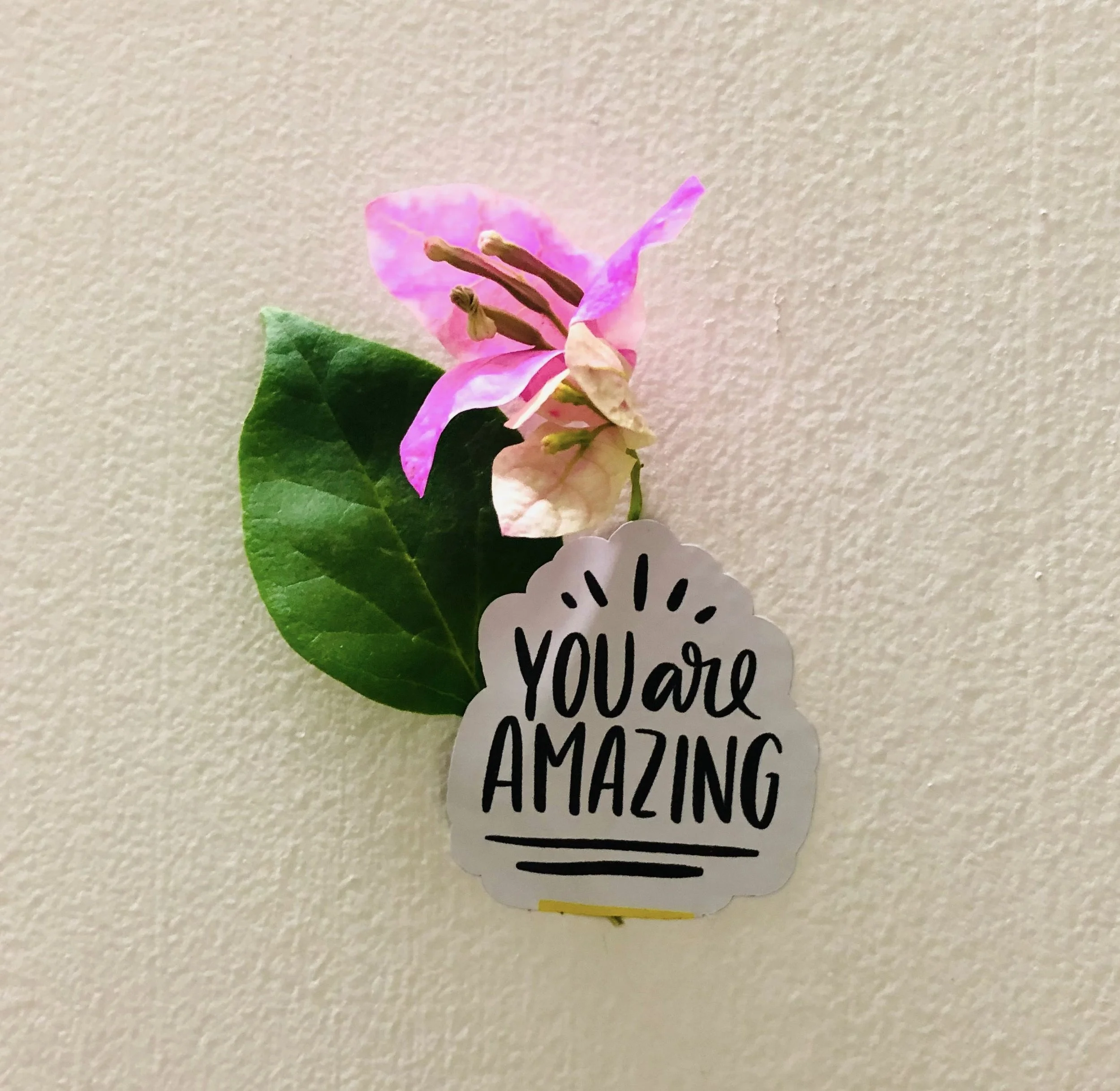 Some Days You Need a Word of Hope
