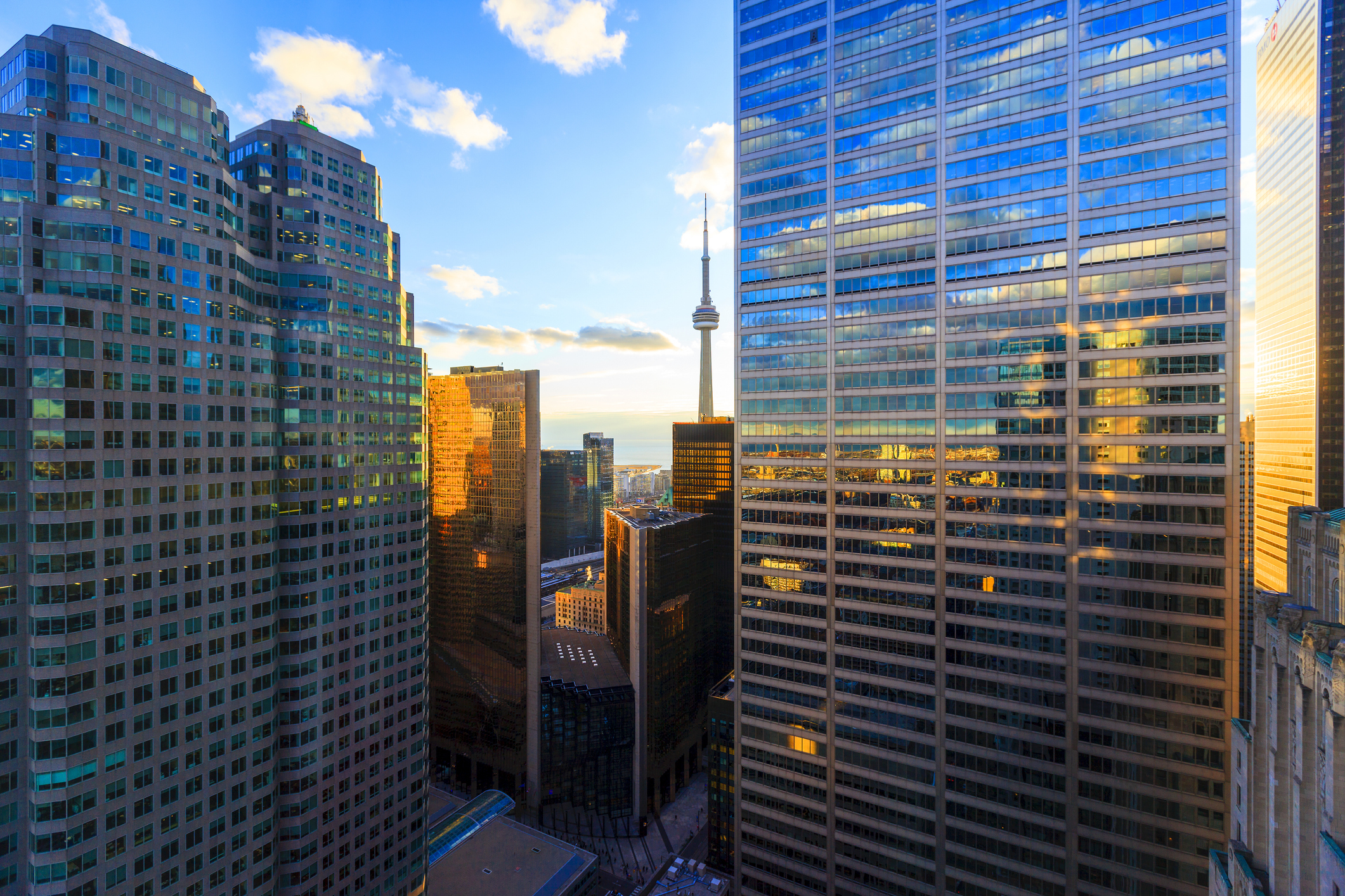 Downtown Toronto Business District representing Thrive & Co's. recruitment work in the GTA