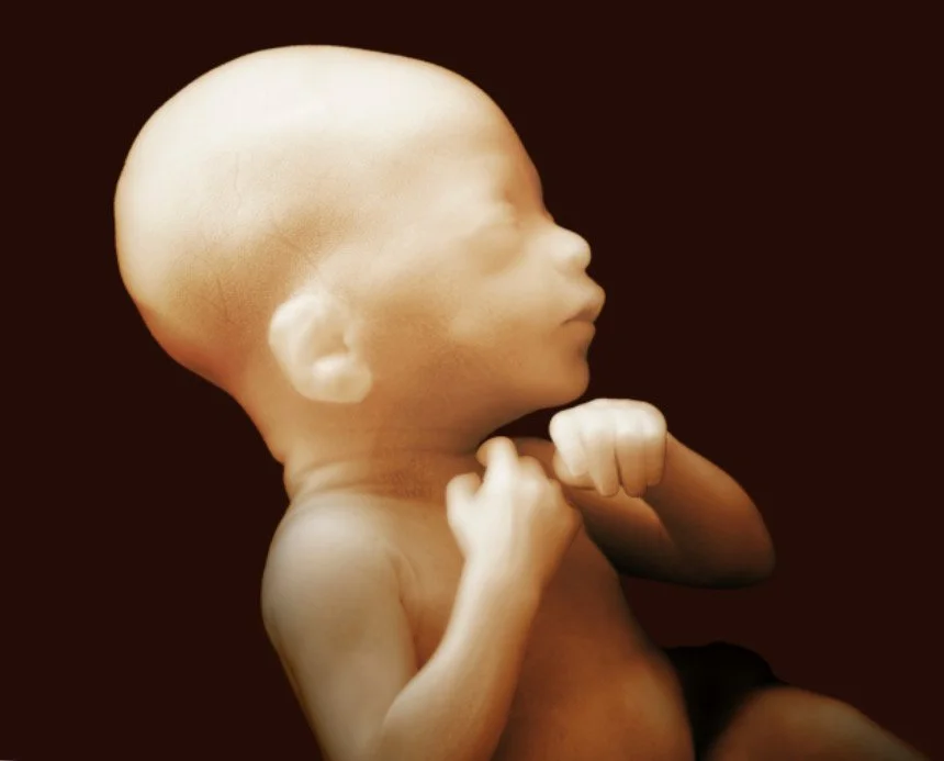 January 12th Club Meeting