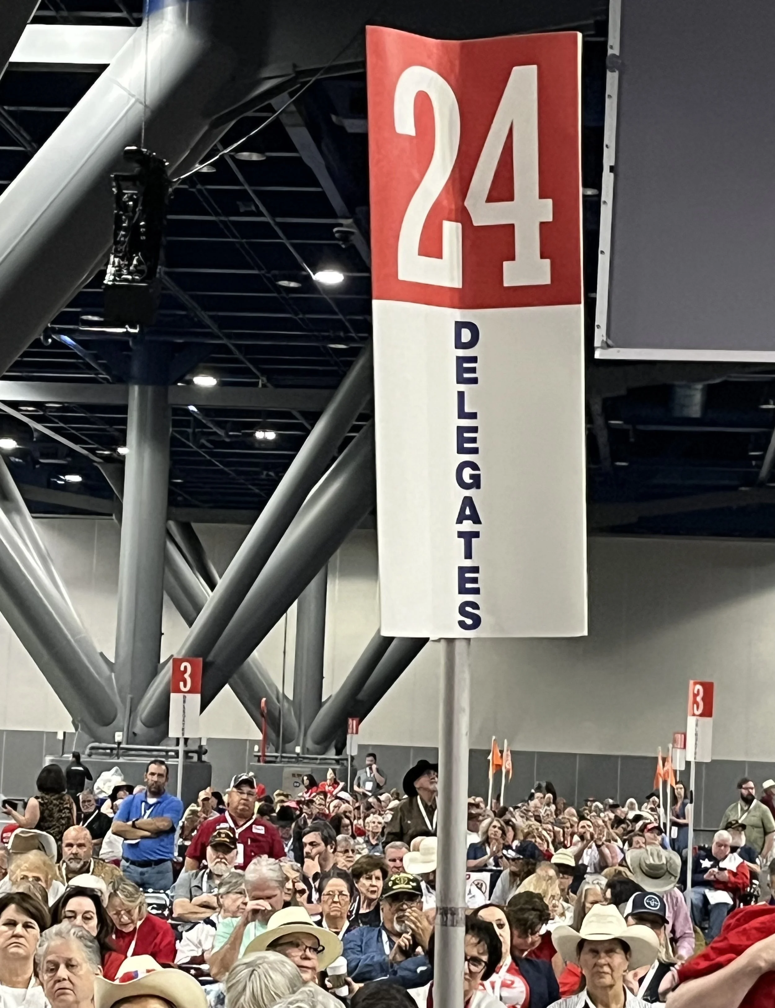 Can you spot a delegate from Burnet County?  Join us in 2028!