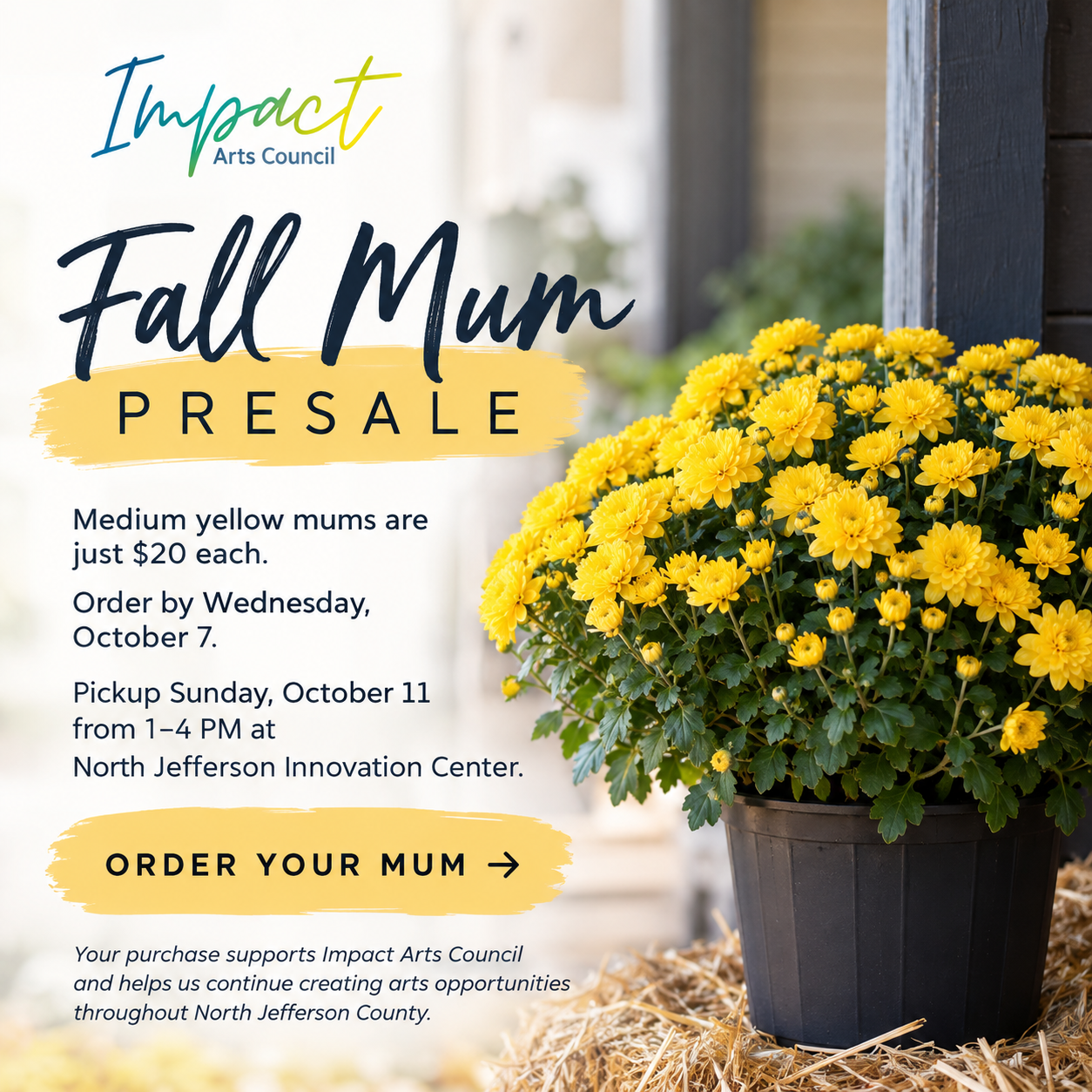Fall Mum Presale – Order Deadline