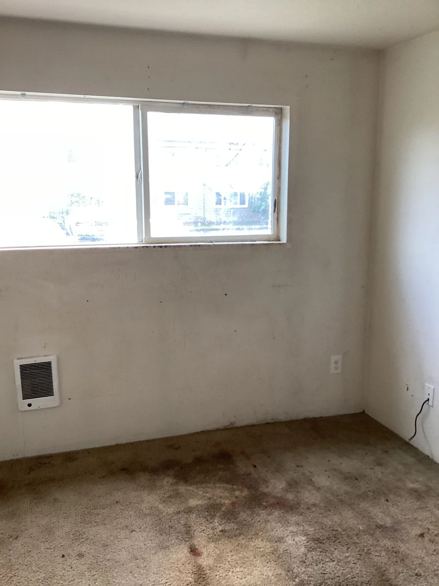 03ccfce3-cffe-4259-8a52-429a7b189b80.jpg