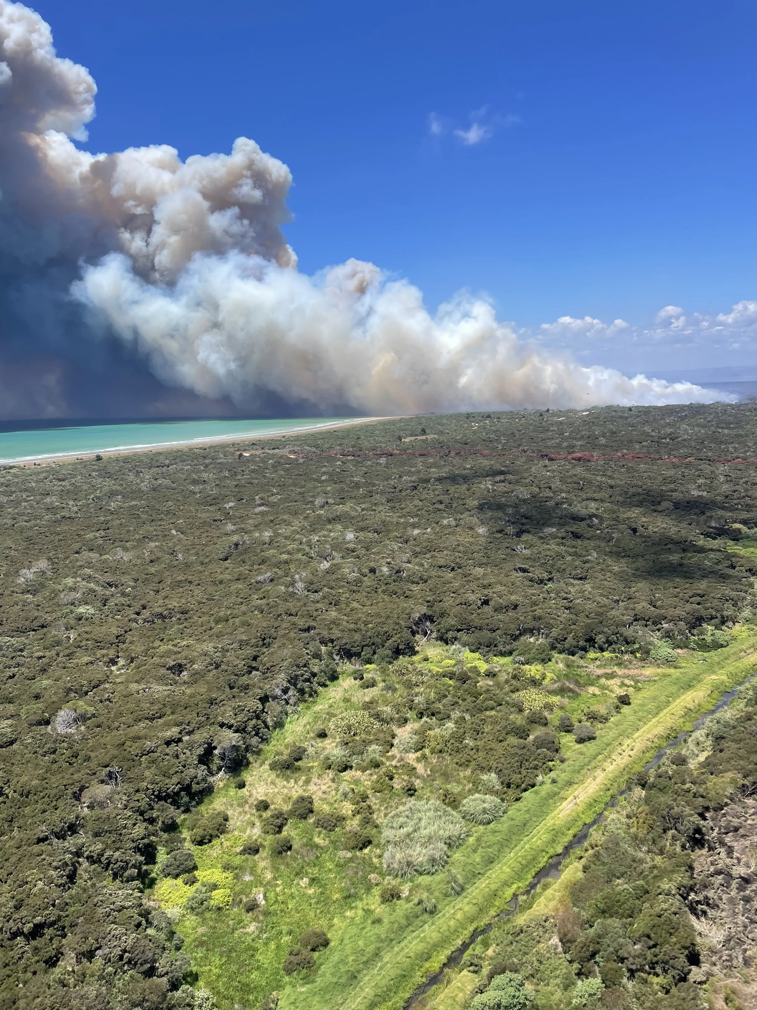 Photo 17-01-22, 2 00 41 PM.jpg