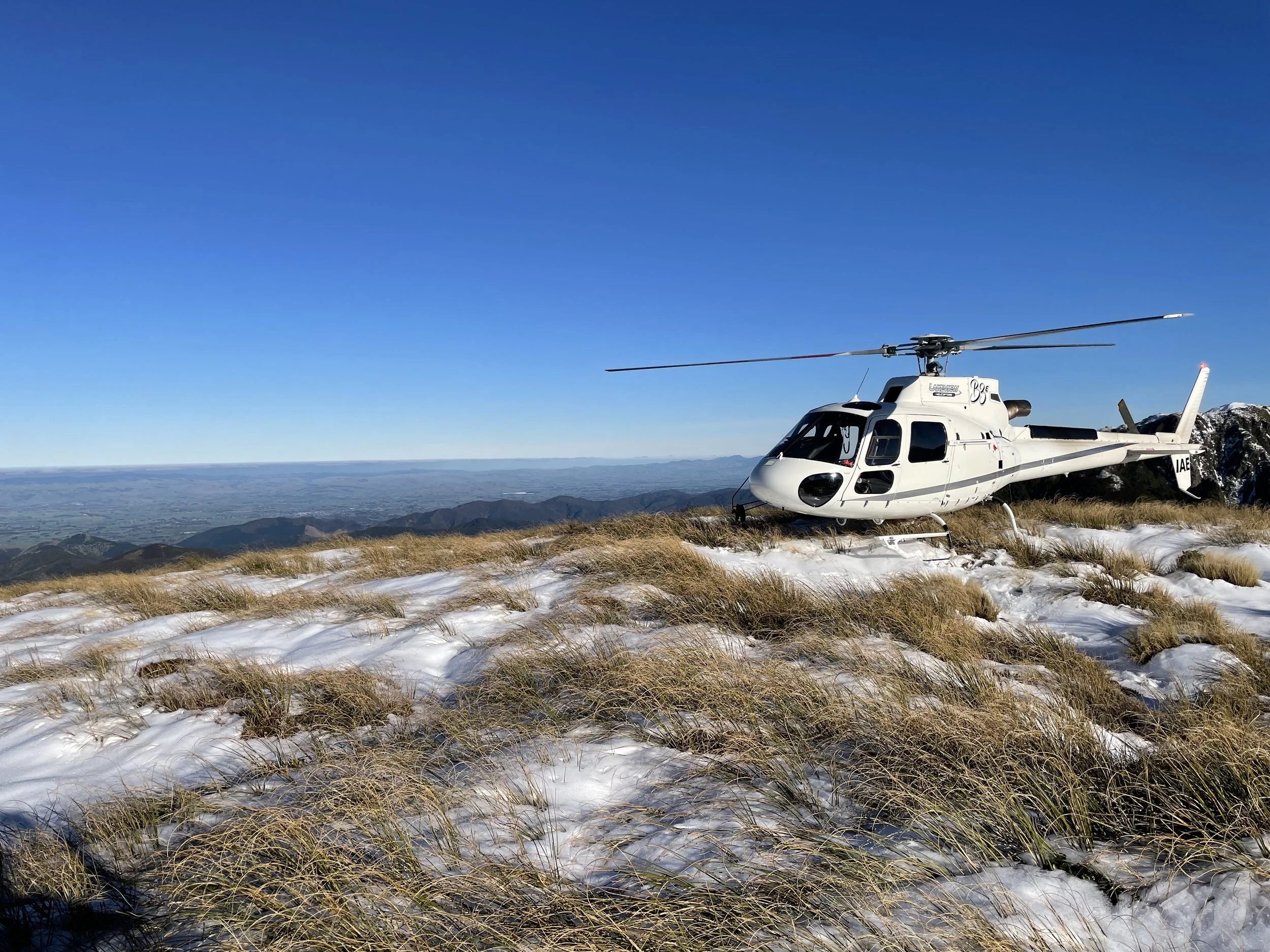 Photo 2-07-21, 2 51 39 PM.jpg