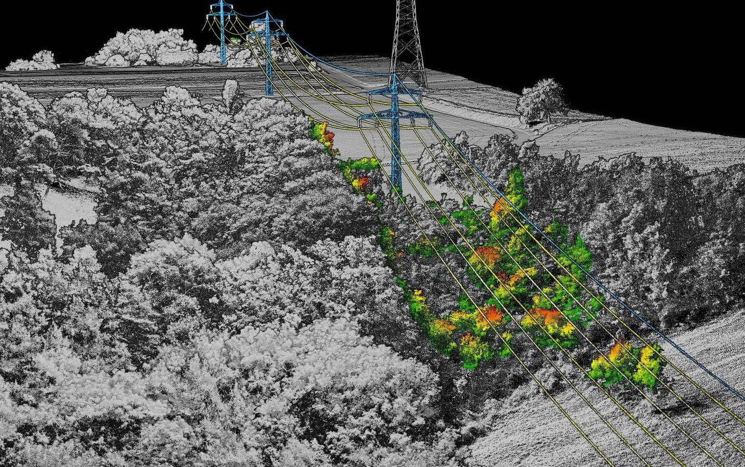 Powerline_Vegetation_Closeup.jpg