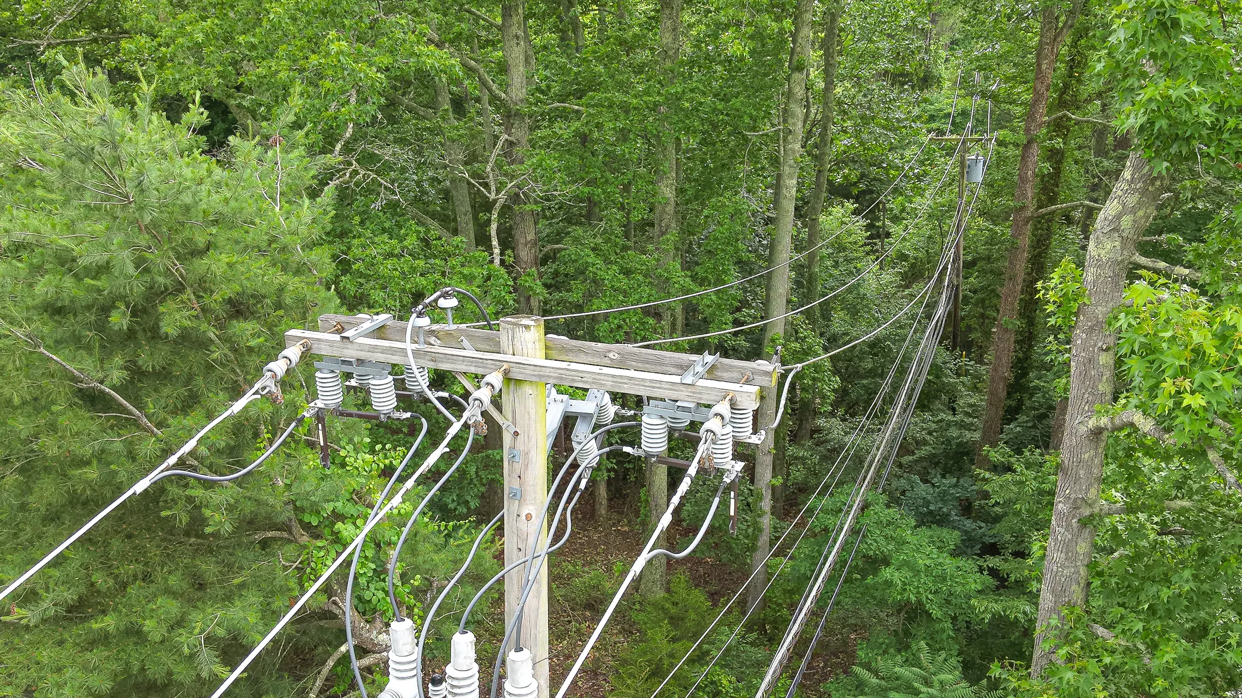 DJI_20240606143257_0011_W-2.webp