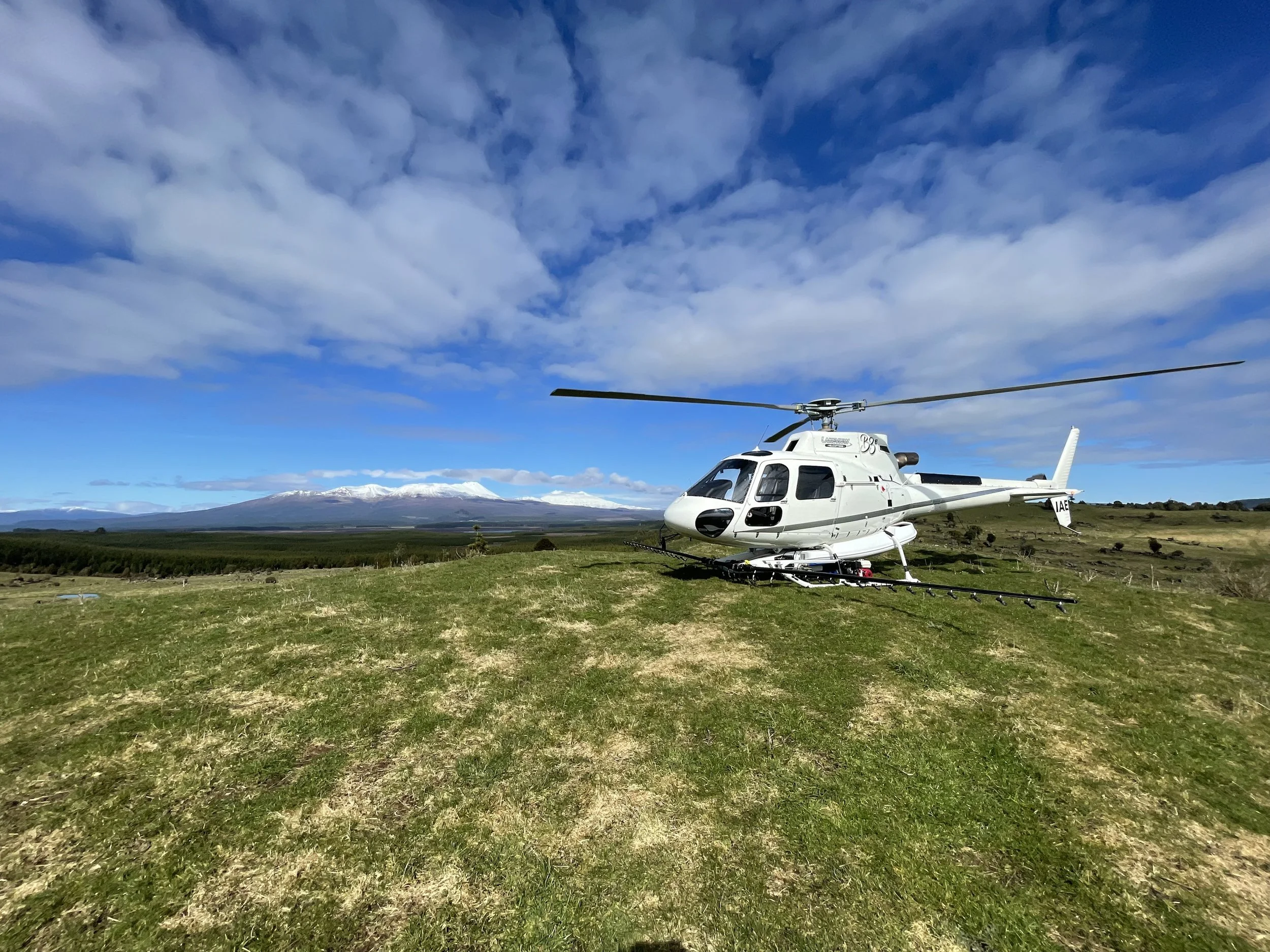 Photo 21-08-21, 11 31 24 AM.jpg