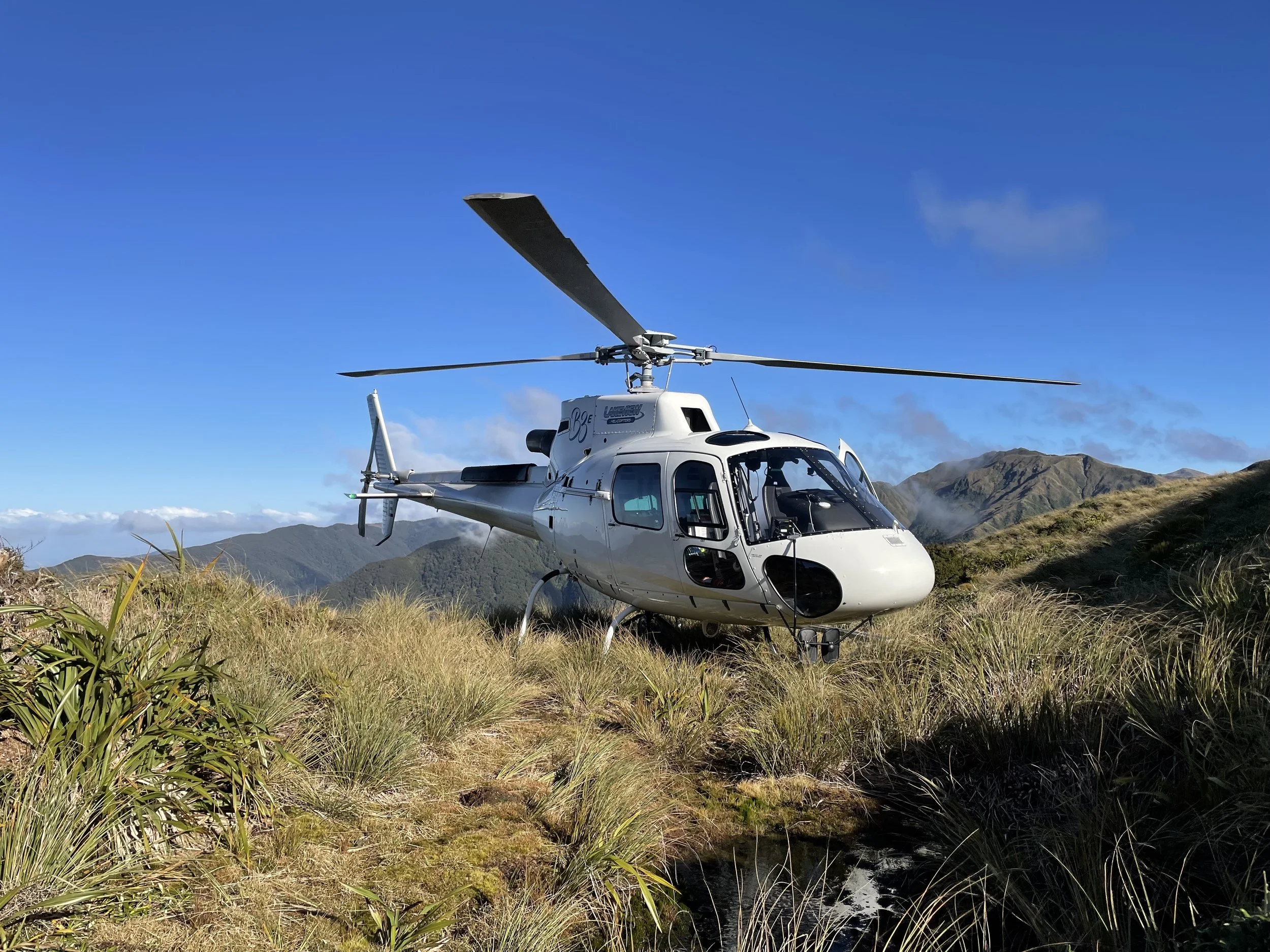 Photo 9-06-21, 1 25 29 PM.jpg