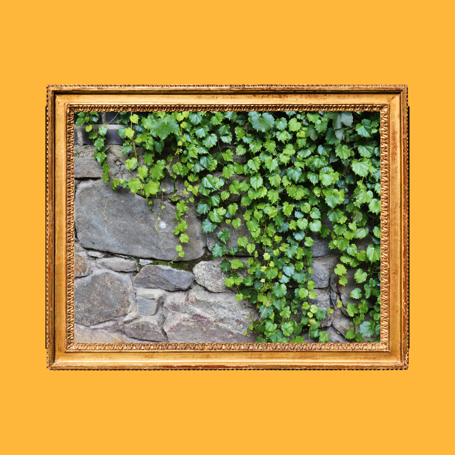 Instagram… 11/20/24