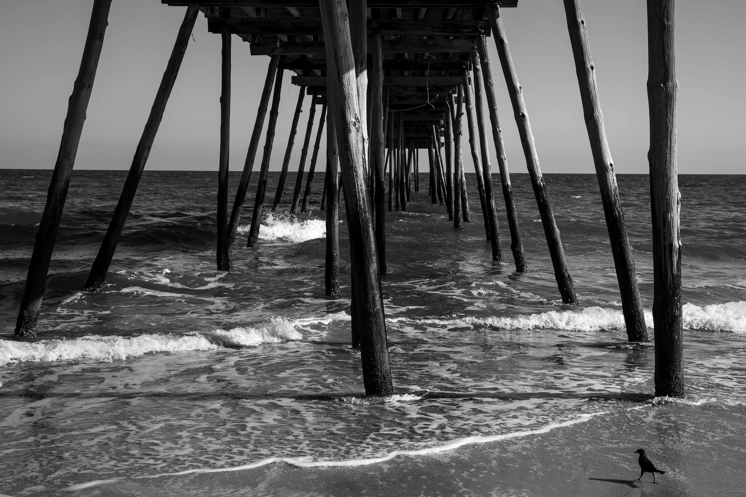 N. Carolina Coast-5.jpg