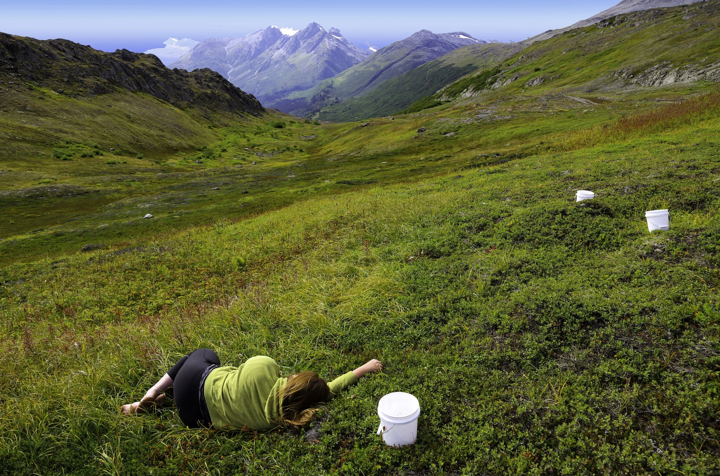 Free to Rest better-.jpg