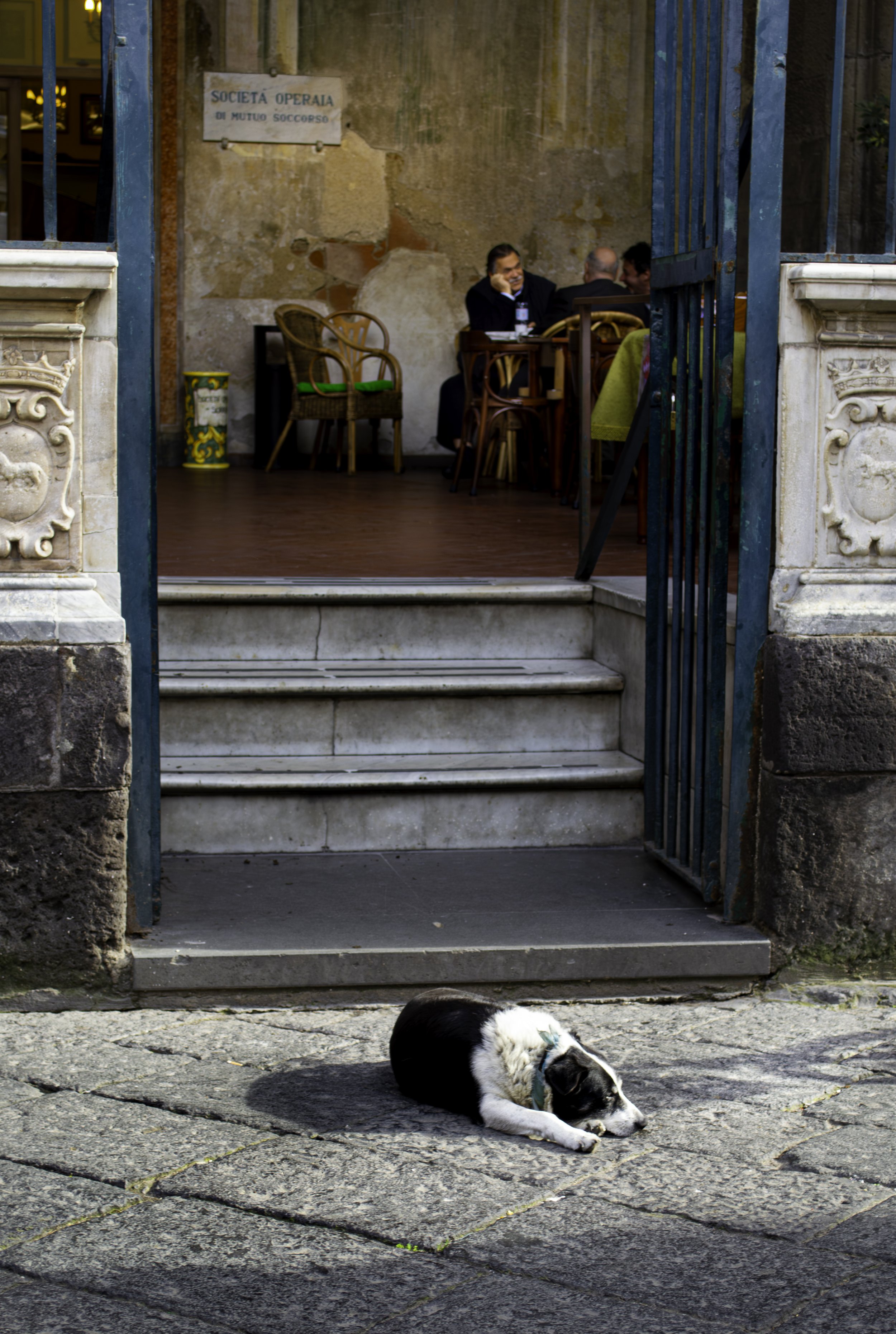 Afternoon Resting Hour.jpg