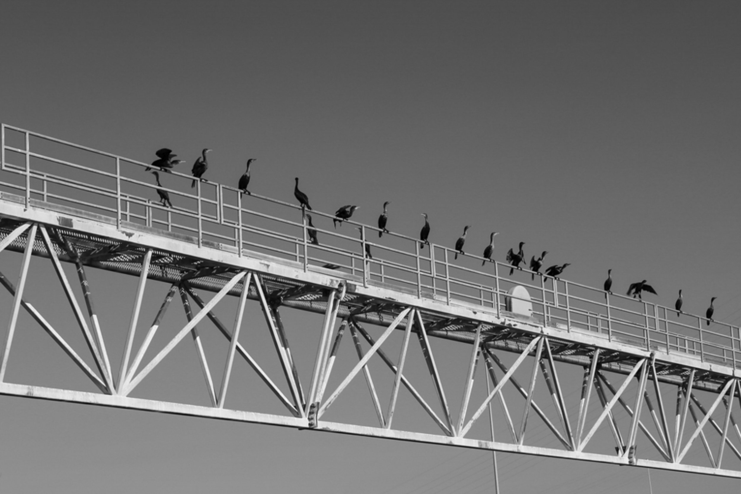 Colombia River-8.jpg