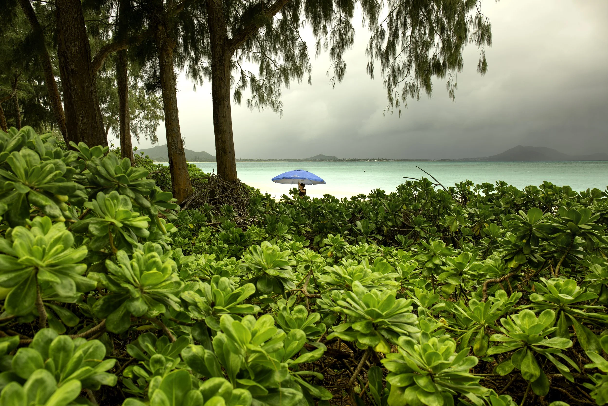 shows and Exhibits-2.jpg