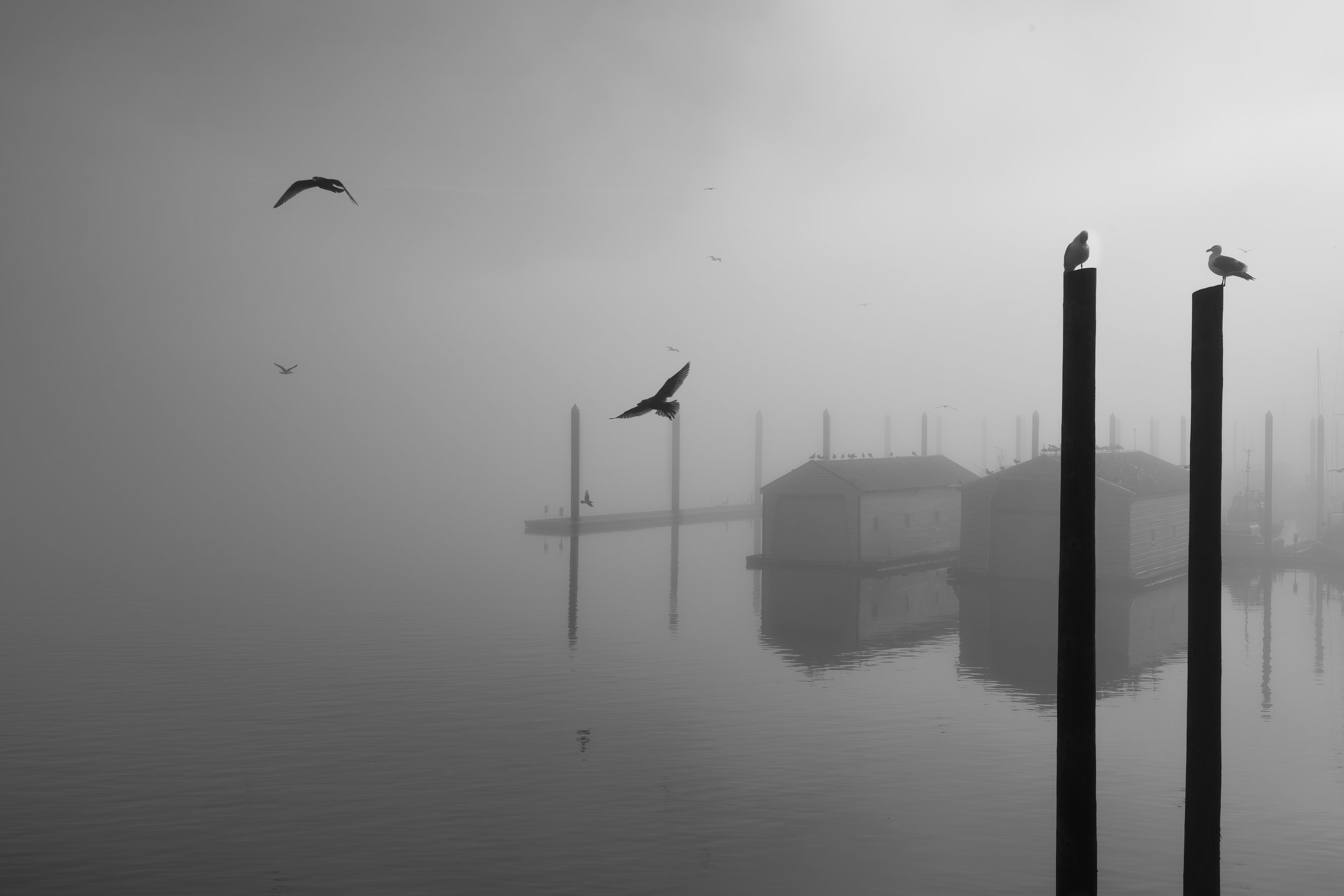 Colombia River-11.jpg