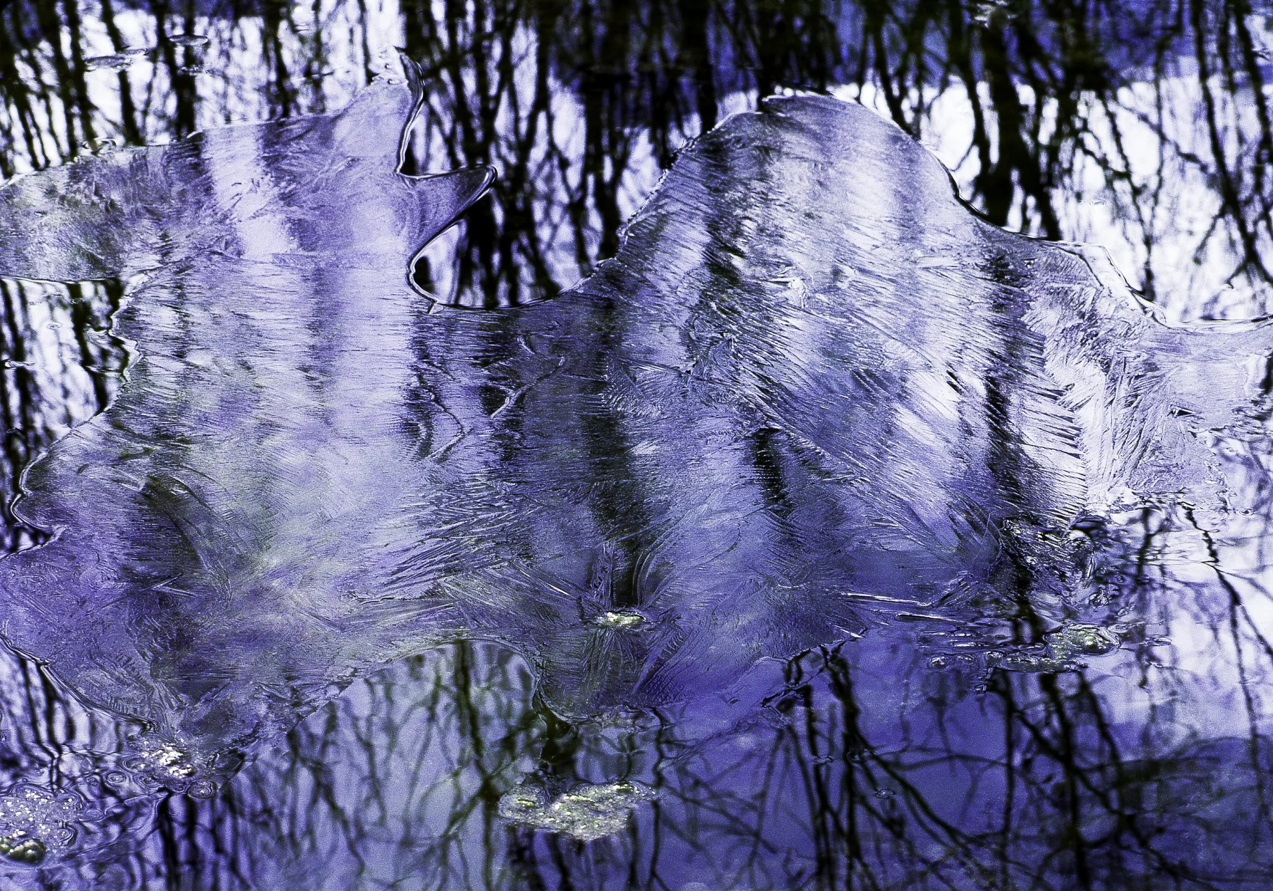 Alaskan Abstracts.jpg