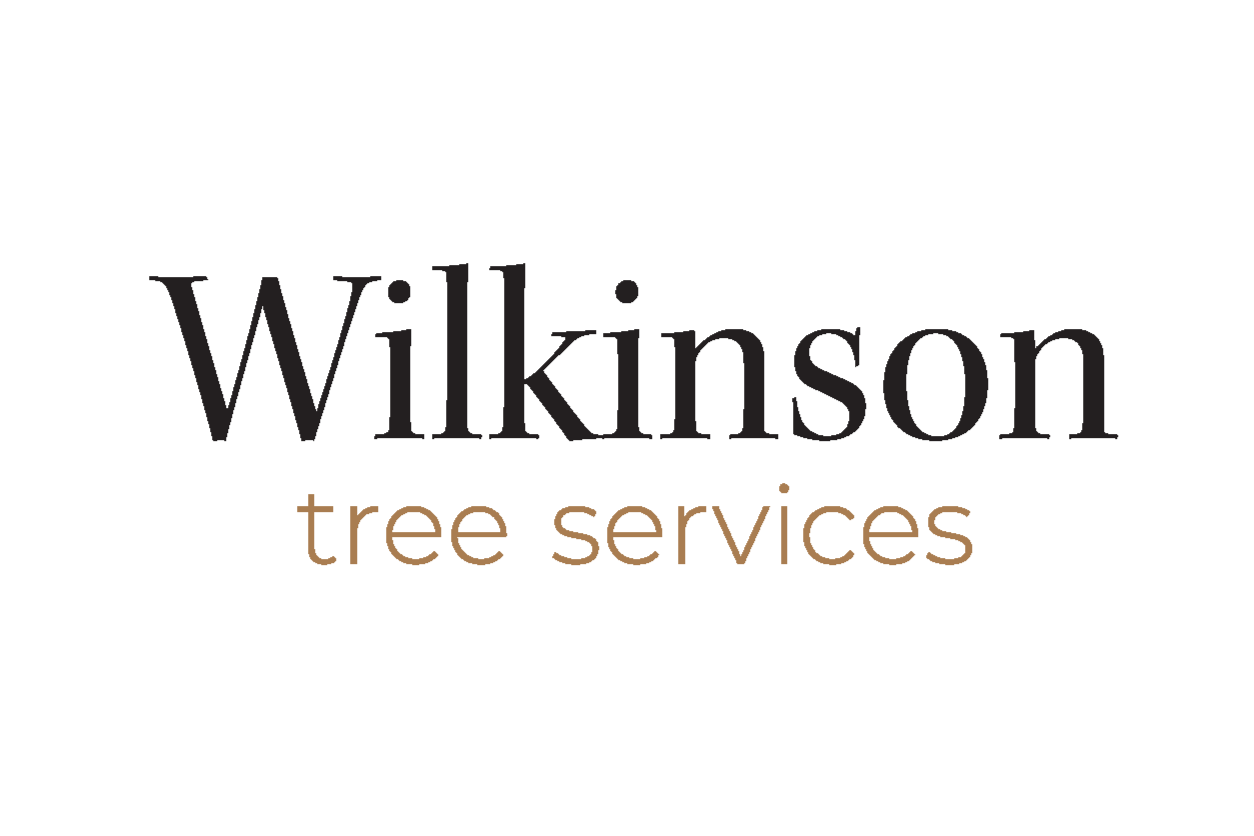 Wilkinson_tree_services_logo_horezontal.png