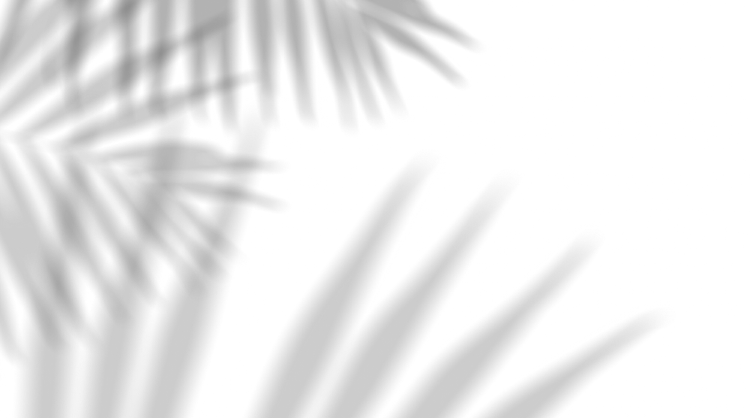 Screenshot 2024-10-17 at 12.22.29.png