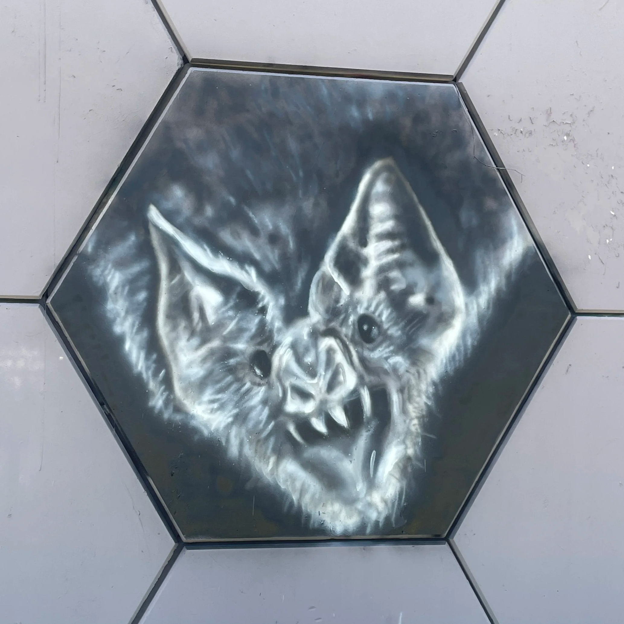 IMG_4086 (1).png