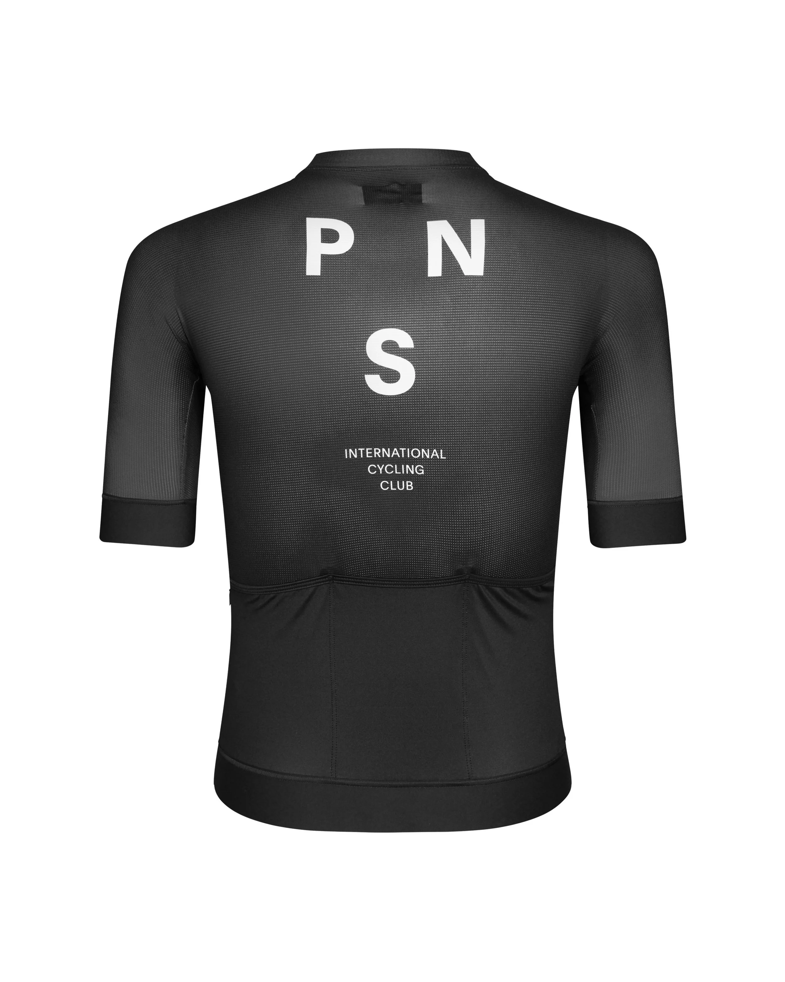 pns-mechanism-black-back.jpeg
