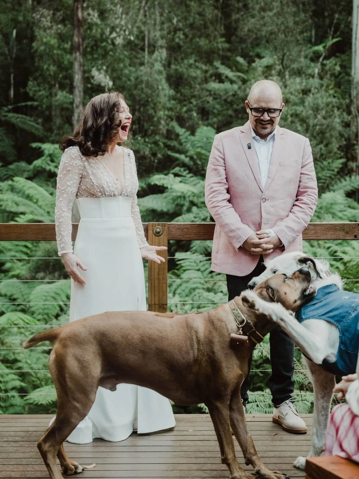 Donna and Lance were parent-trapped at the dog park by their best mates, Archie &amp; Dusty 🐾
If you believe in right place / right time, this was one of those. If you dont, hearing Donna and Lance's story will surely change your mind. 
They are exa