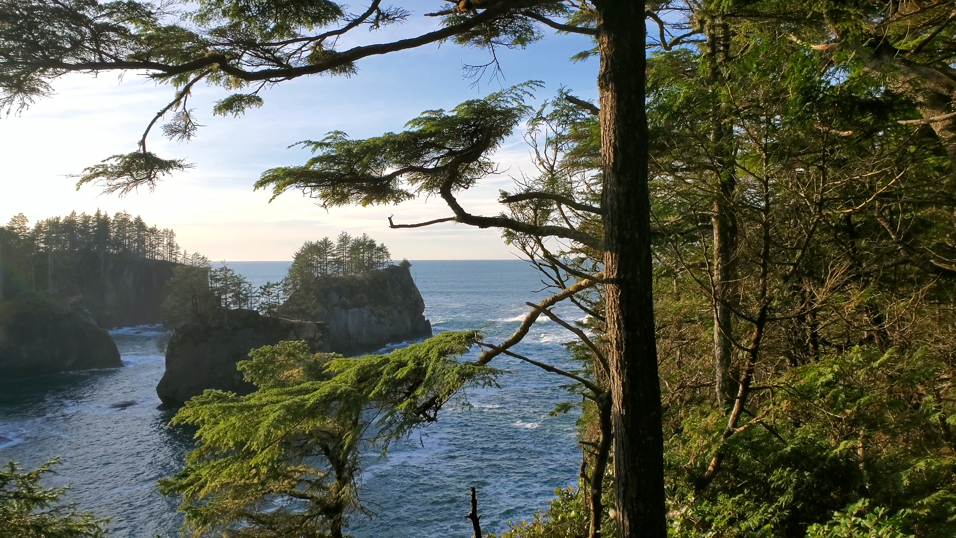 weirdport cape flattery.png
