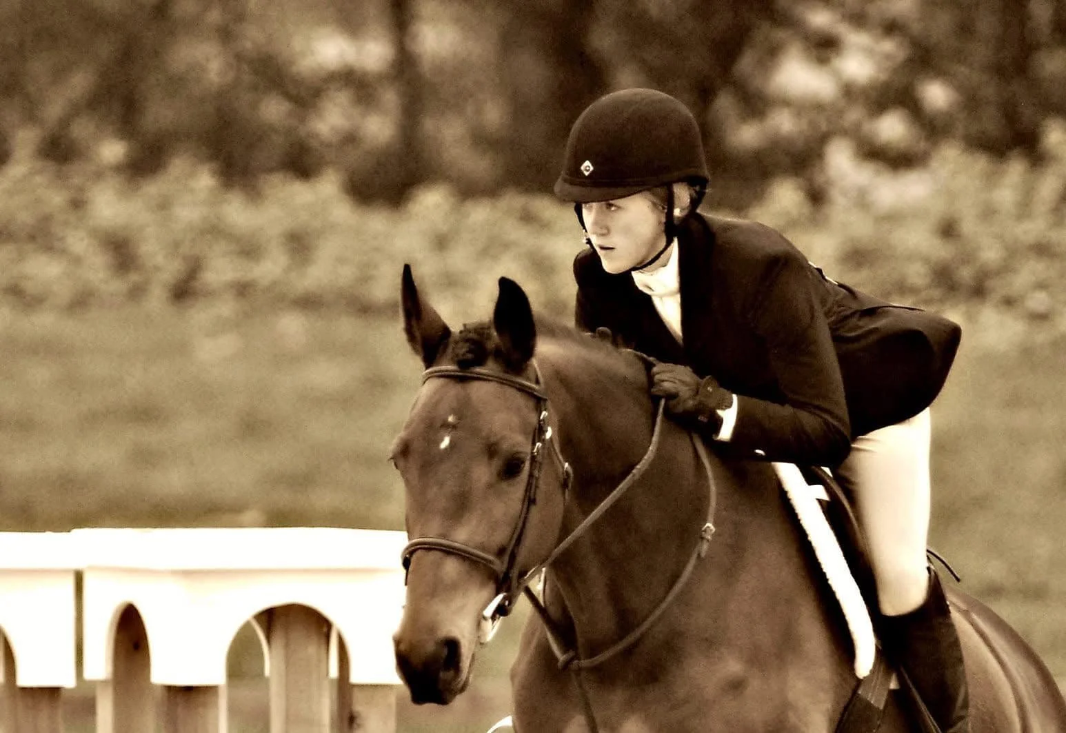 Interview with member Robyn Marjoribanks