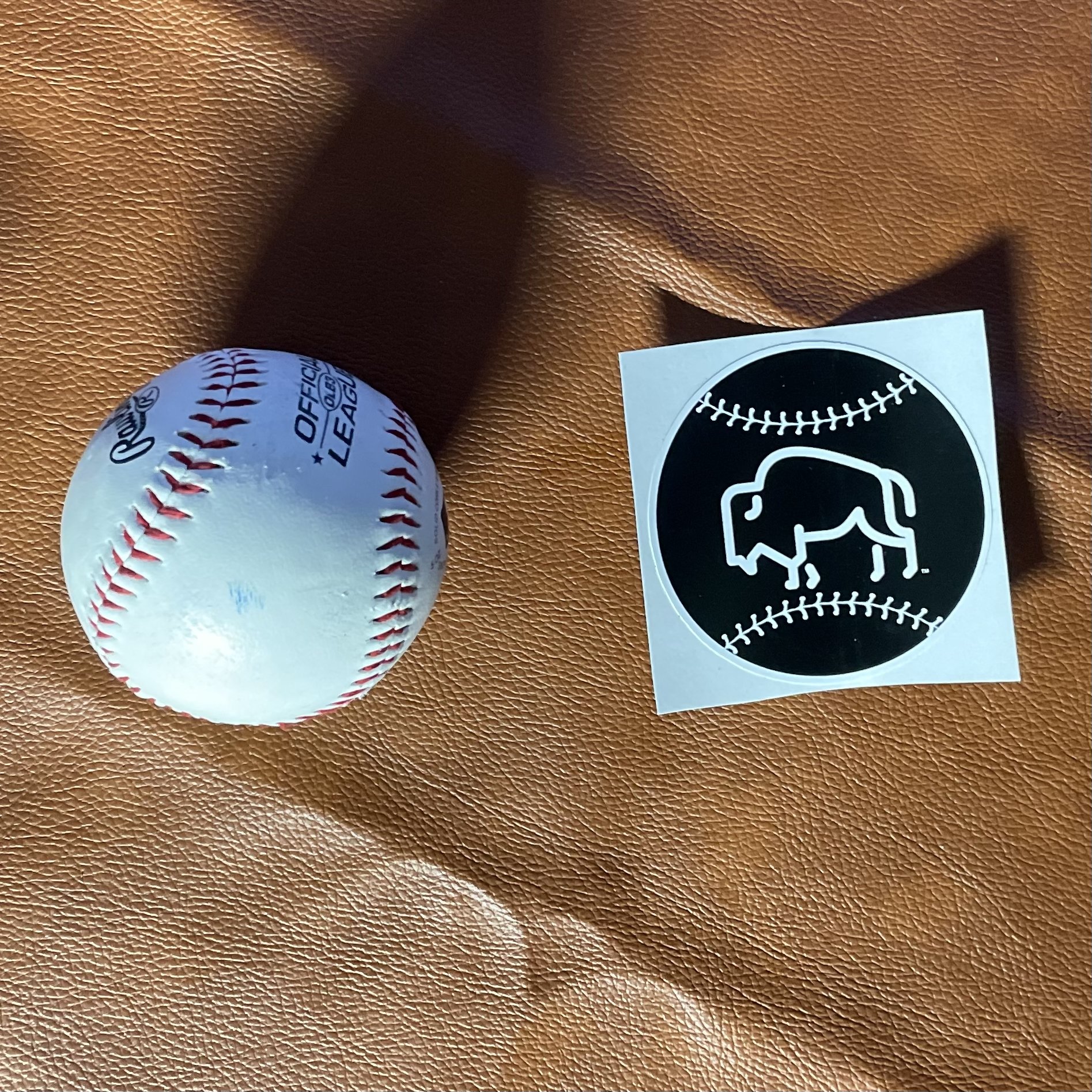 Round Bison Ball Decal - Ships FREE