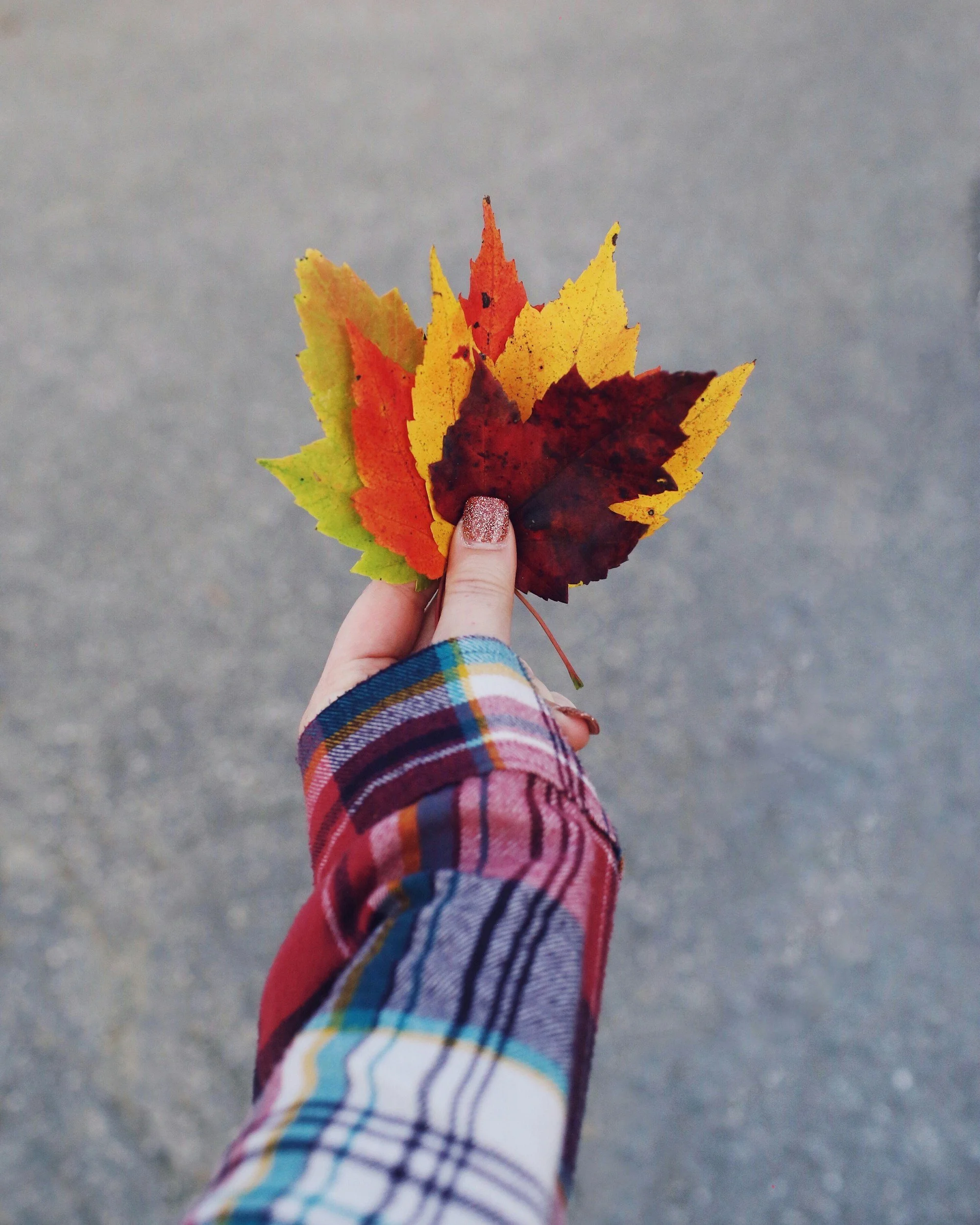 Seasonal leaves
