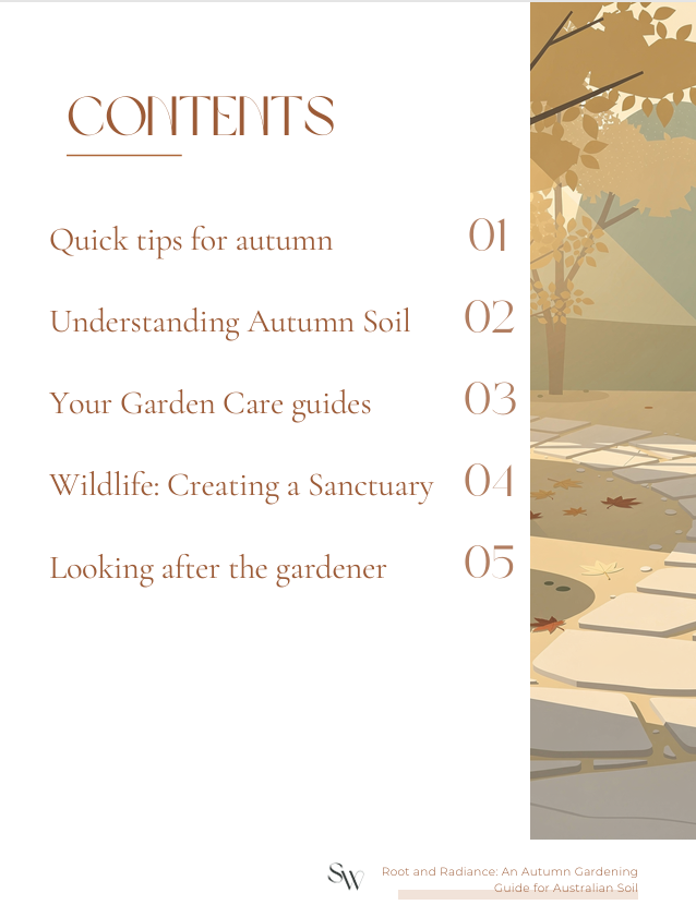 Autumn Roots and Radiance - Example Image.png