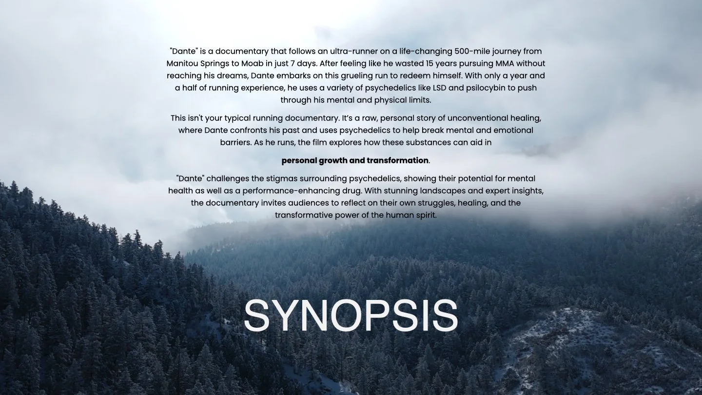 dante pitch deck.005.jpeg