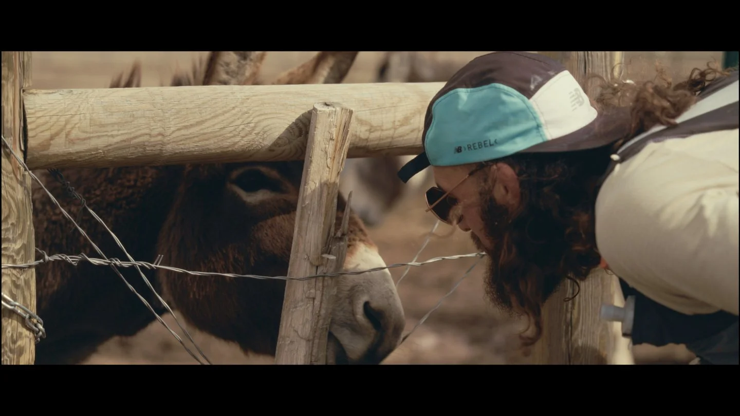 Dante Pitch Deck.012.jpeg