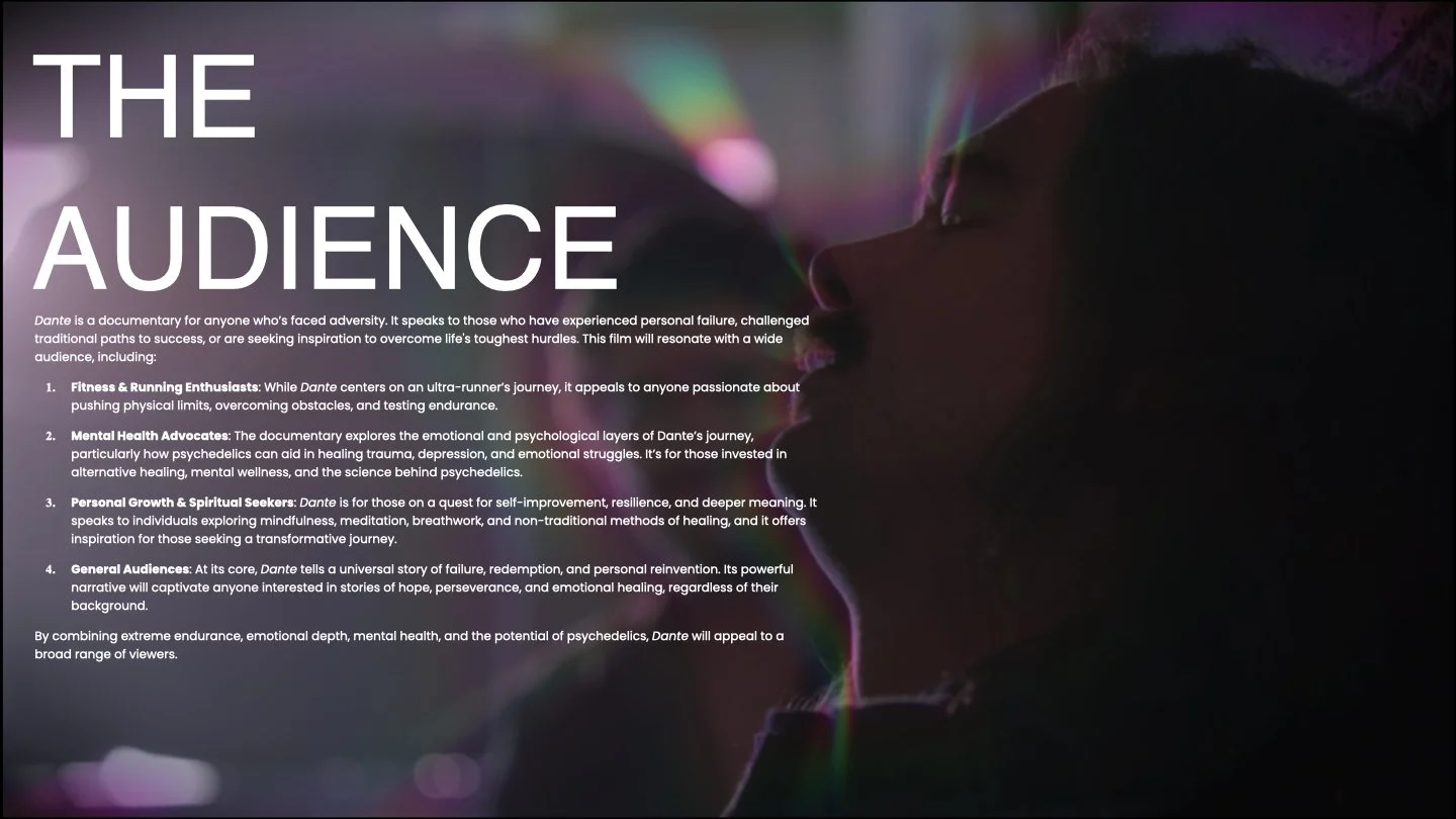 dante pitch deck.013.jpeg