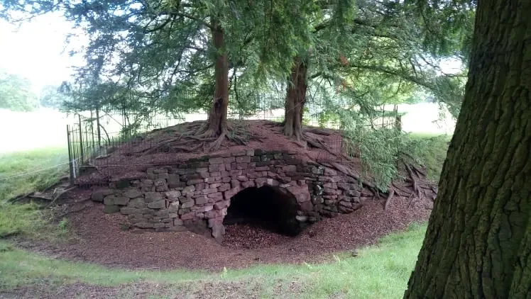 Sunset over a rural landscape with trees, a gravel road, and a fenced field with cattle