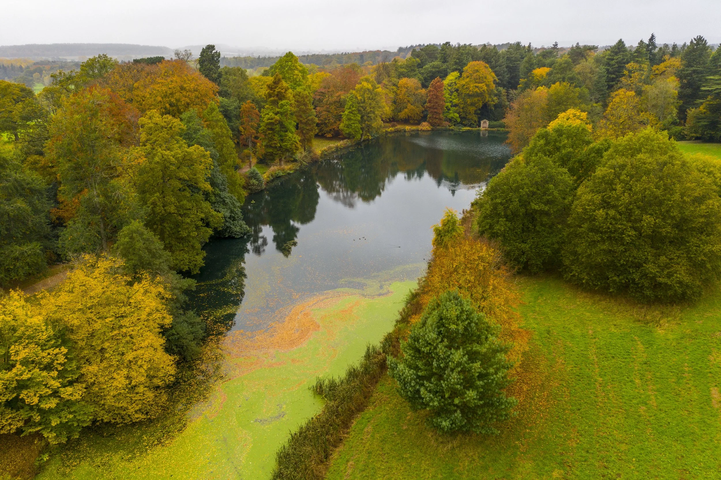The Temple Pool and trees turning yellow, orange, and red