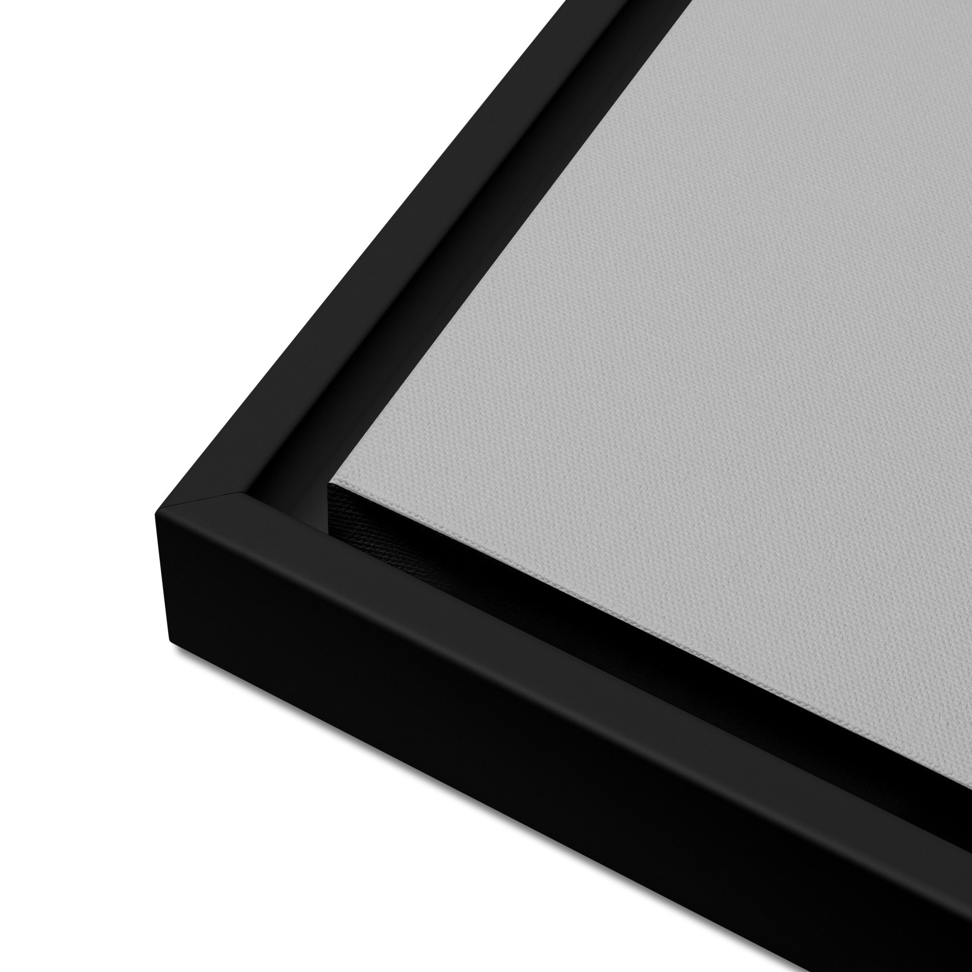 framed-canvas-silver.jpg