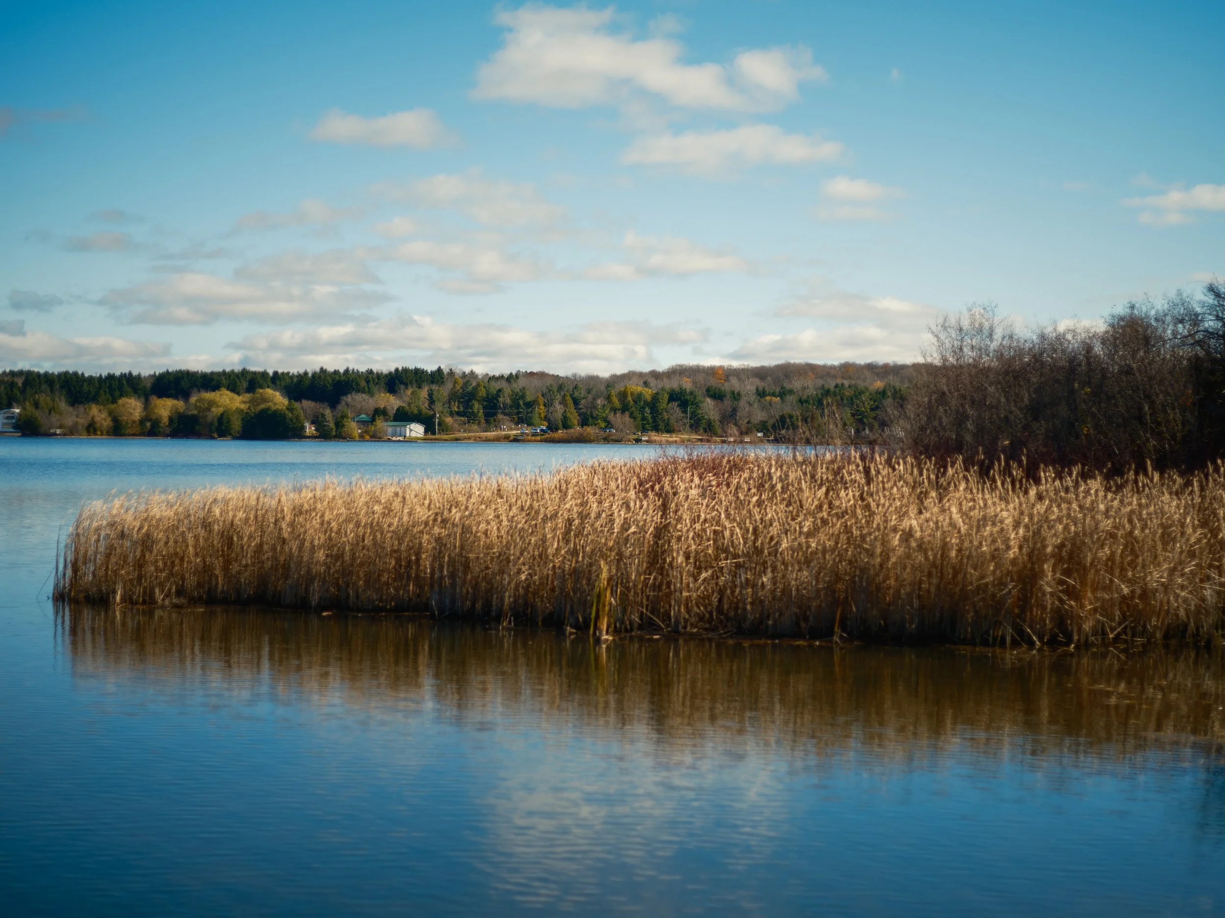 DSCF4103.jpg