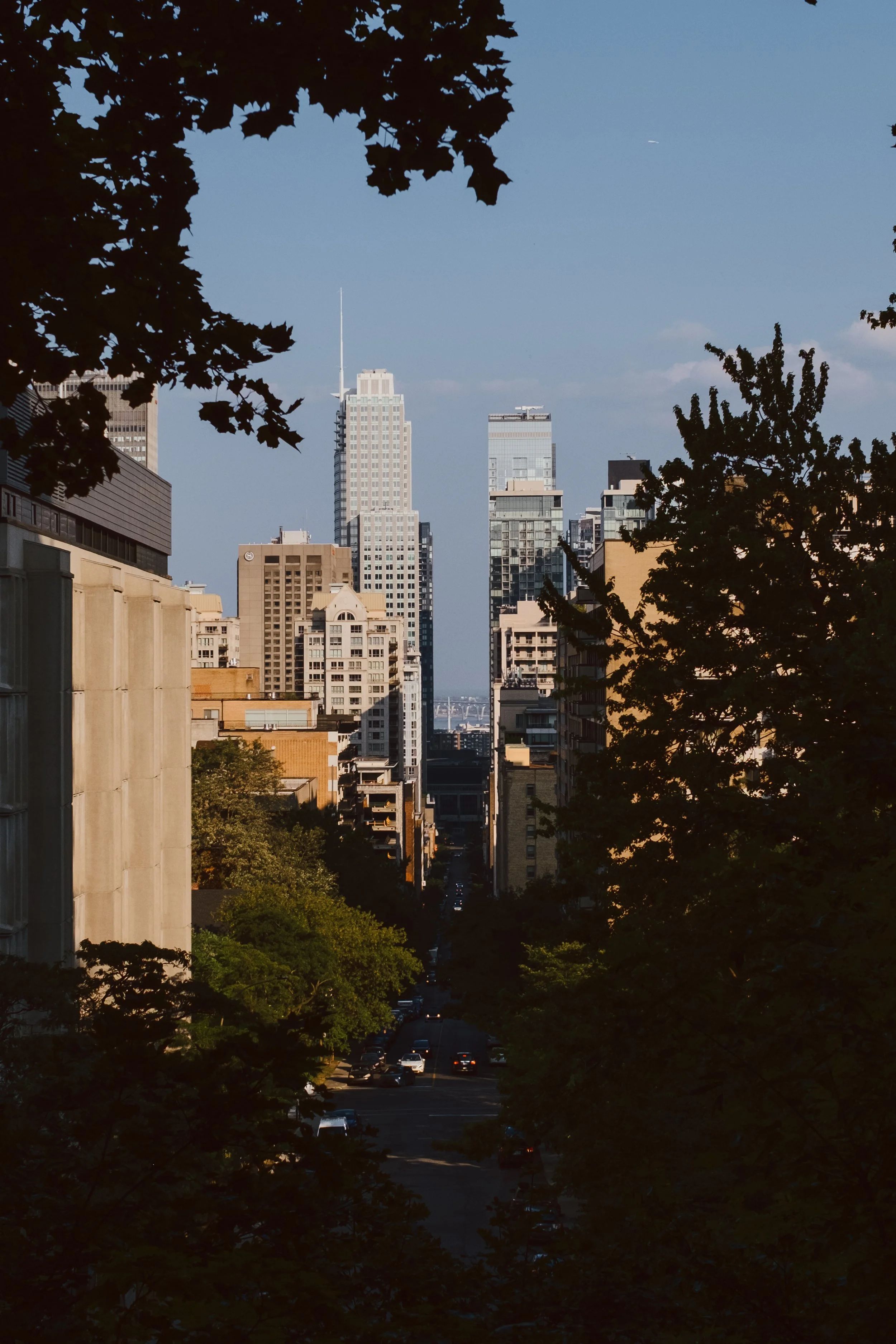 DSCF1383.jpg