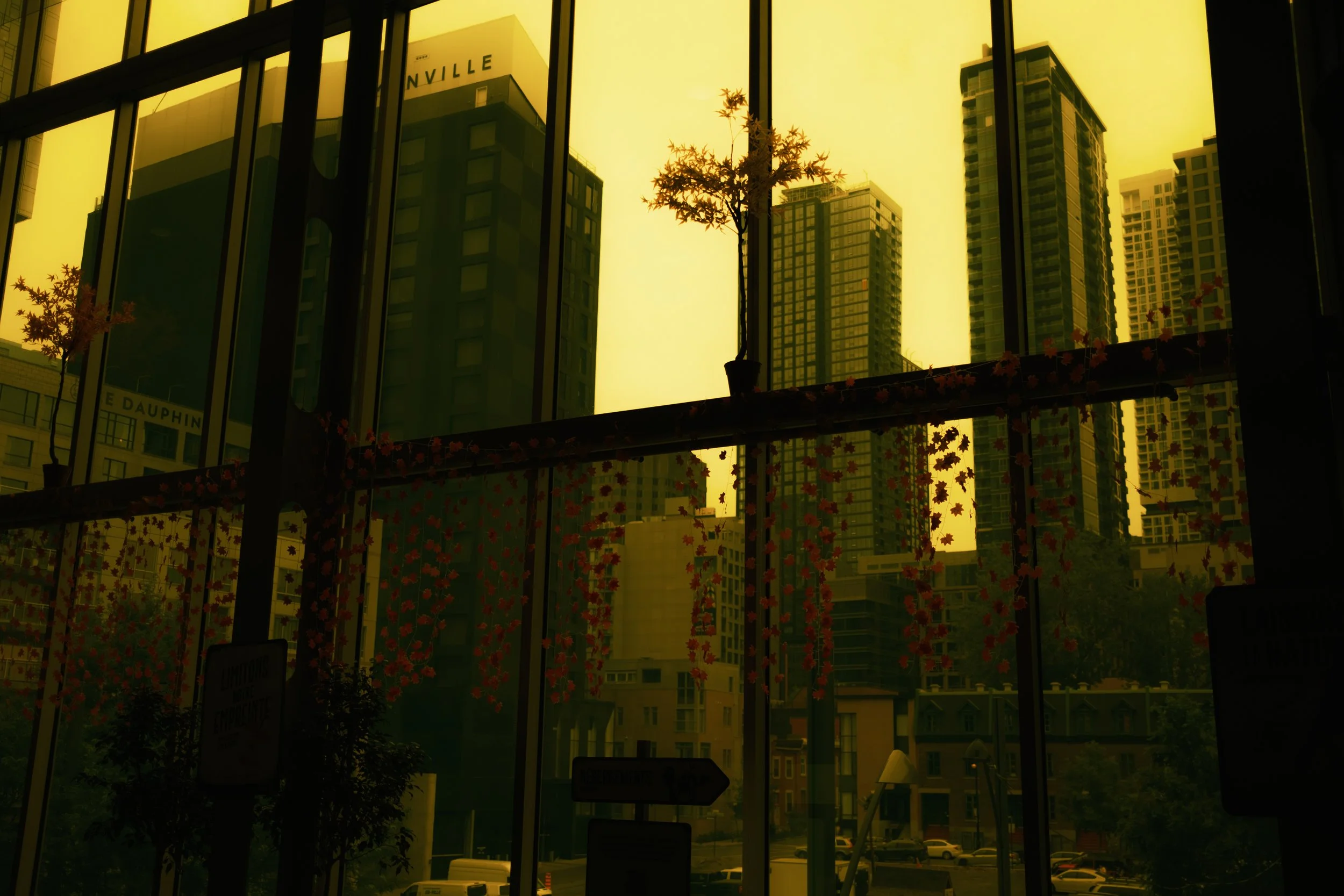 DSCF1441.jpg