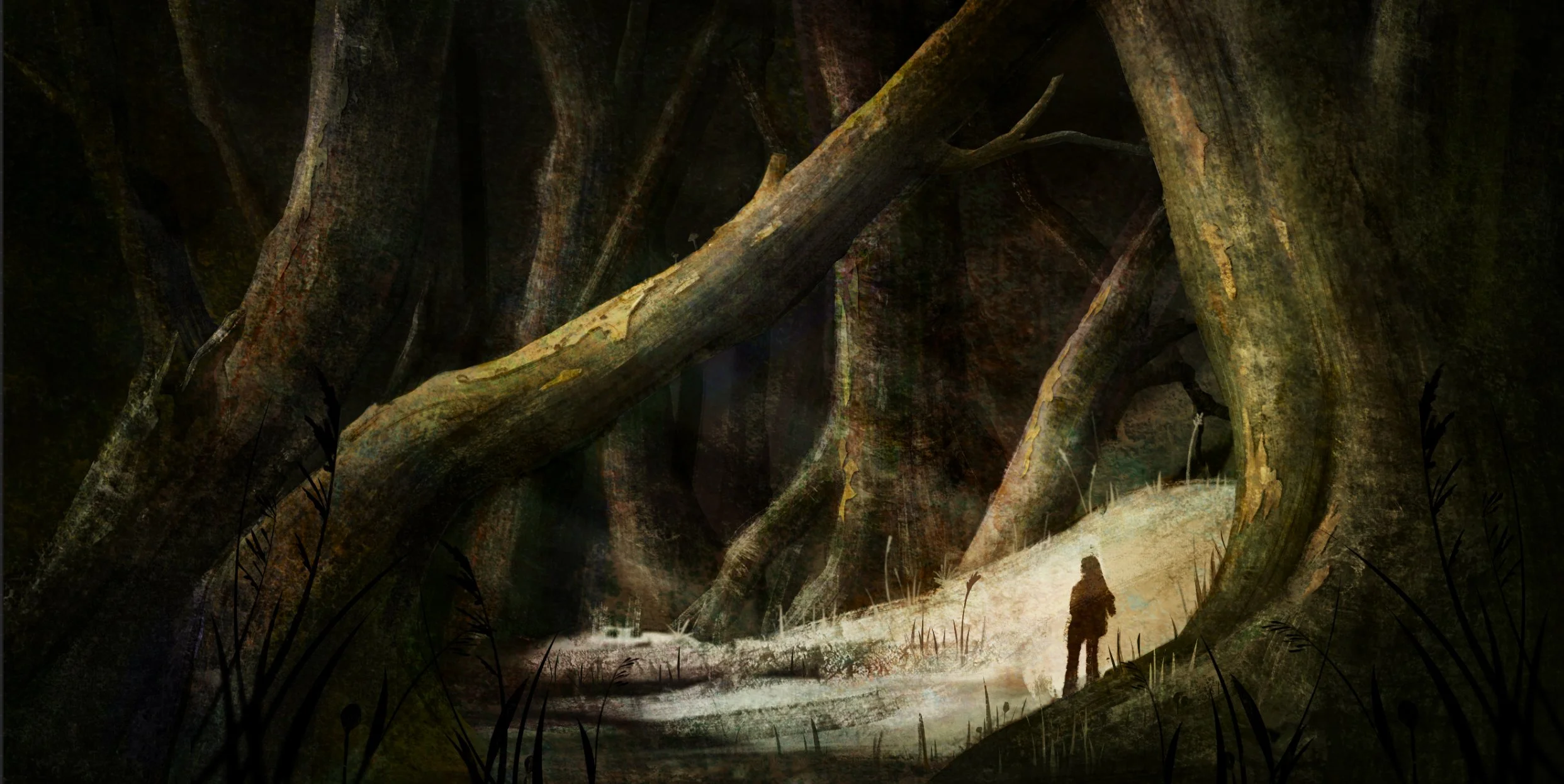 A person standing on a lit path inside a dark, dense forest with oversized tree roots and branches.