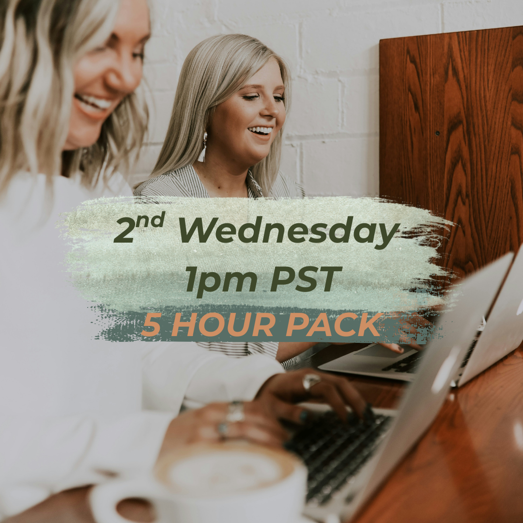 5 Hour EMDR Consultation Group Package (Spring/March Discount: Wednesday Group)