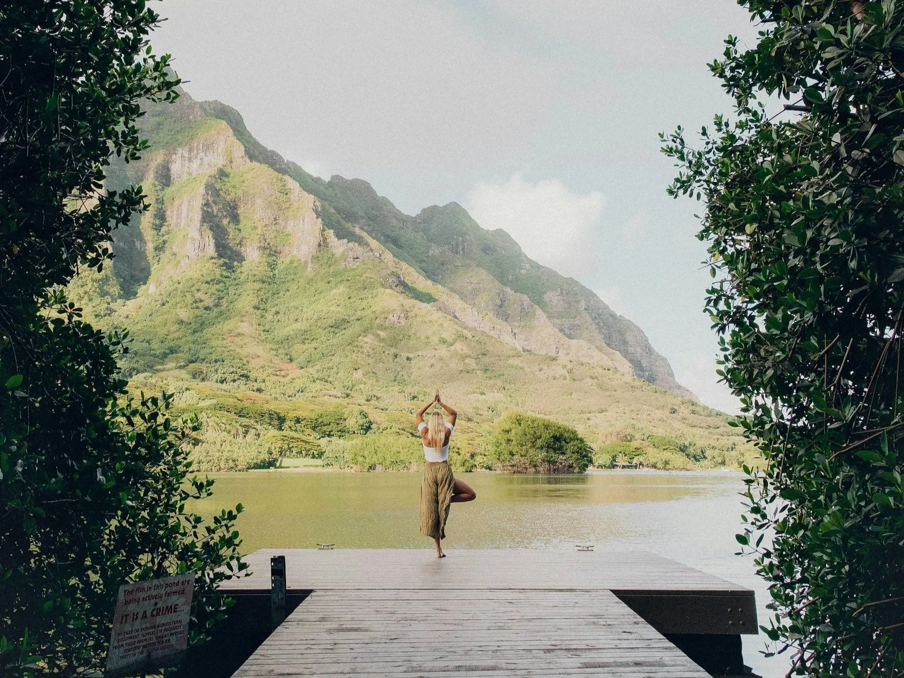 The Science of Somatic Calm: How Yoga Helps Heal the Nervous System After Stress and Trauma