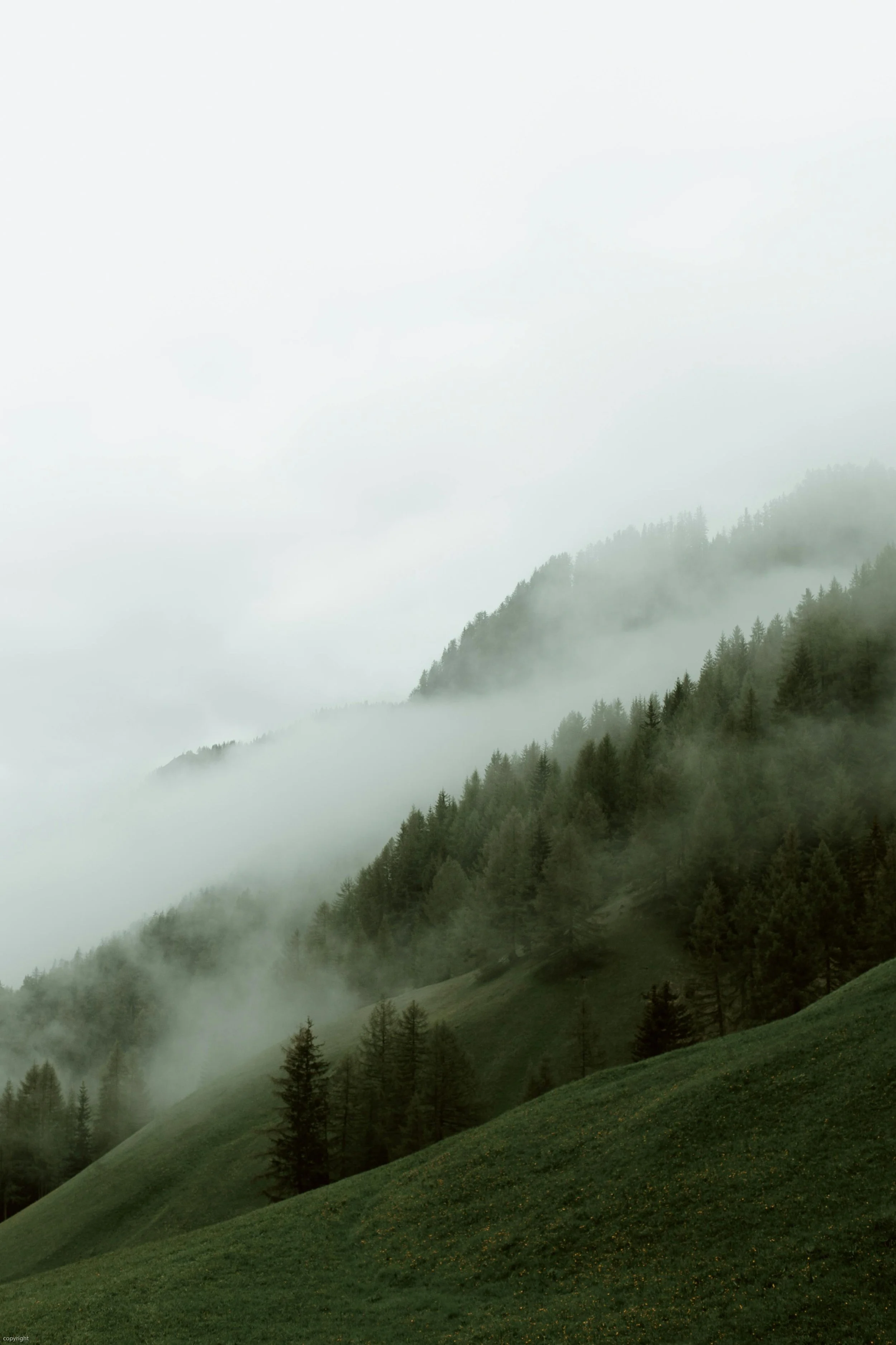 Mountain landscape covered in mist with lush green hills and dense forest.