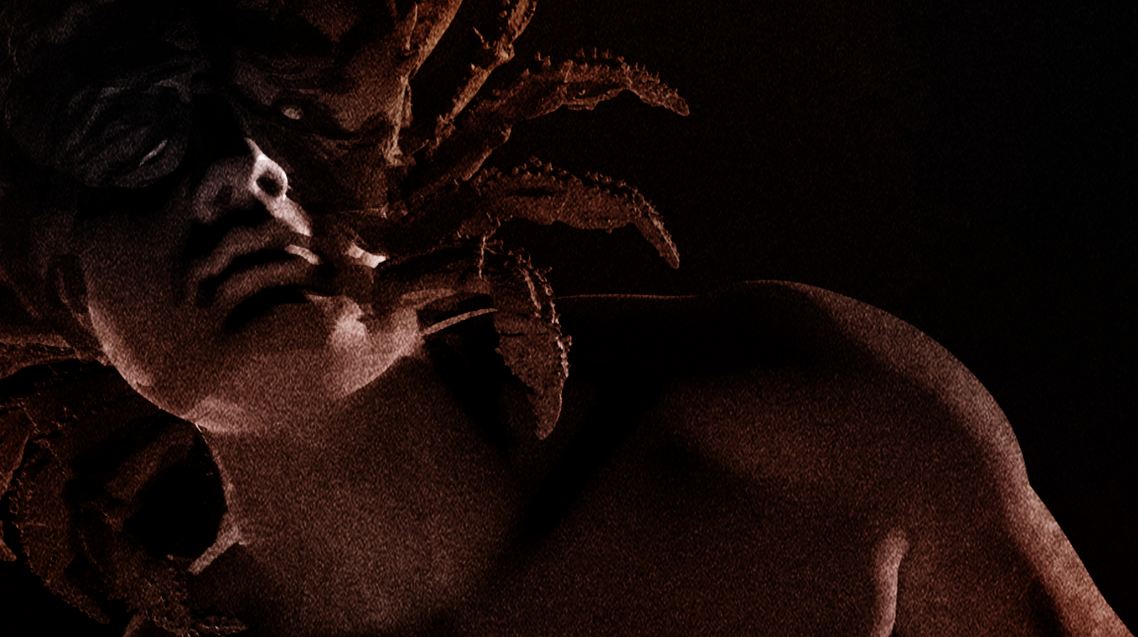 CRAB FACE MAN BANNER_COLOR.png