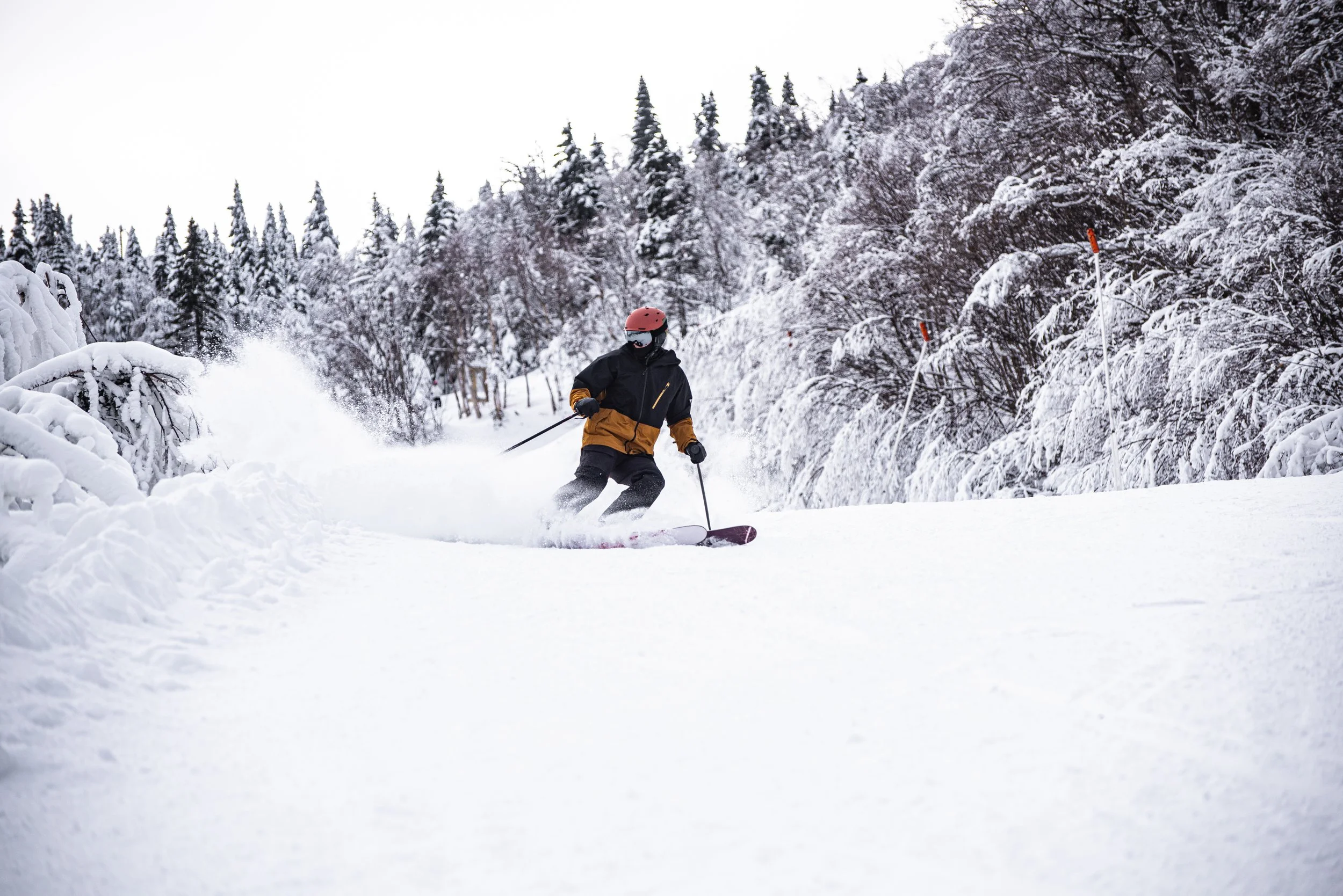 ski photographer,  ski portraits,  powder photos ,  outdoor branding photos