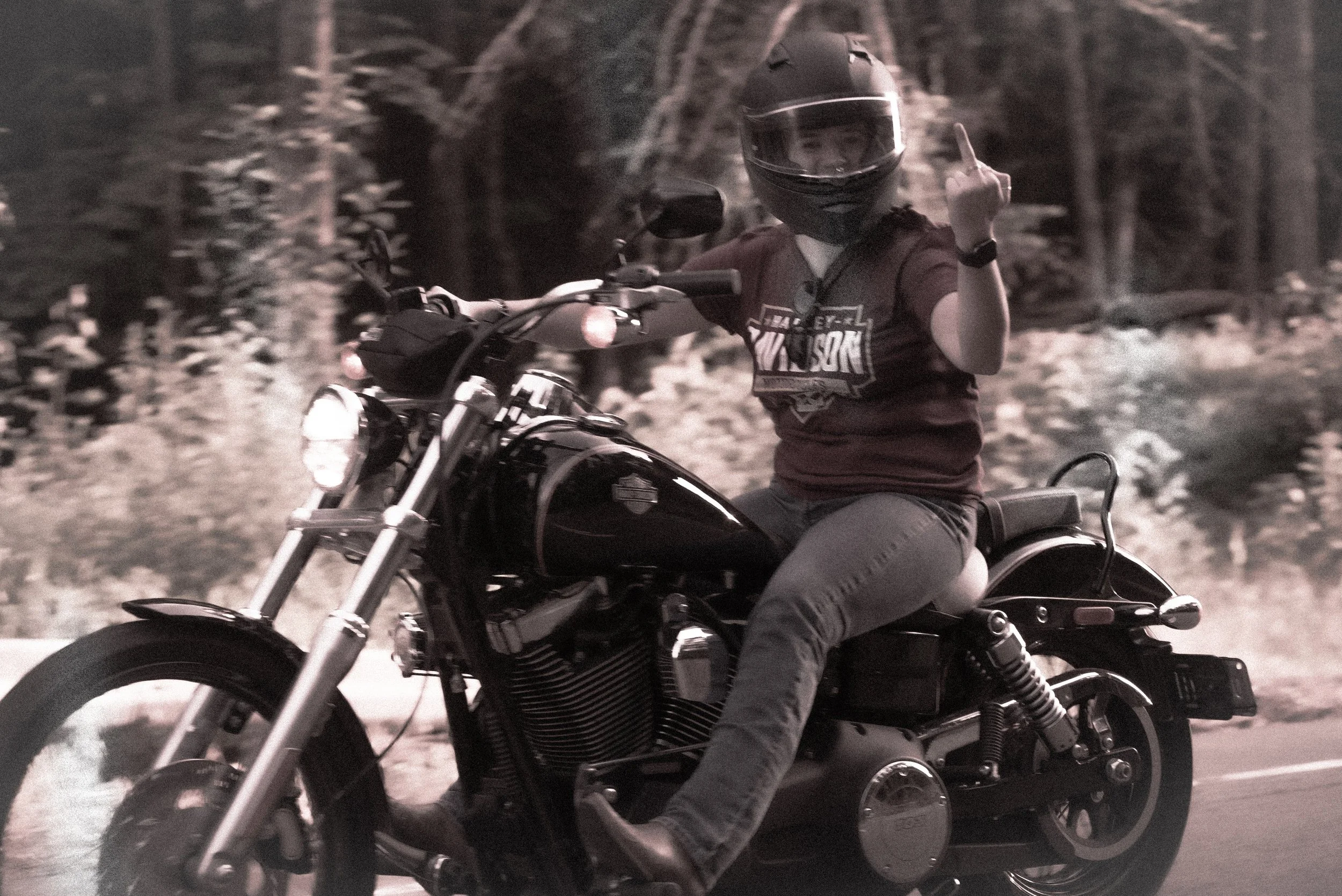 Harley motorcycle photos, Harley photographer