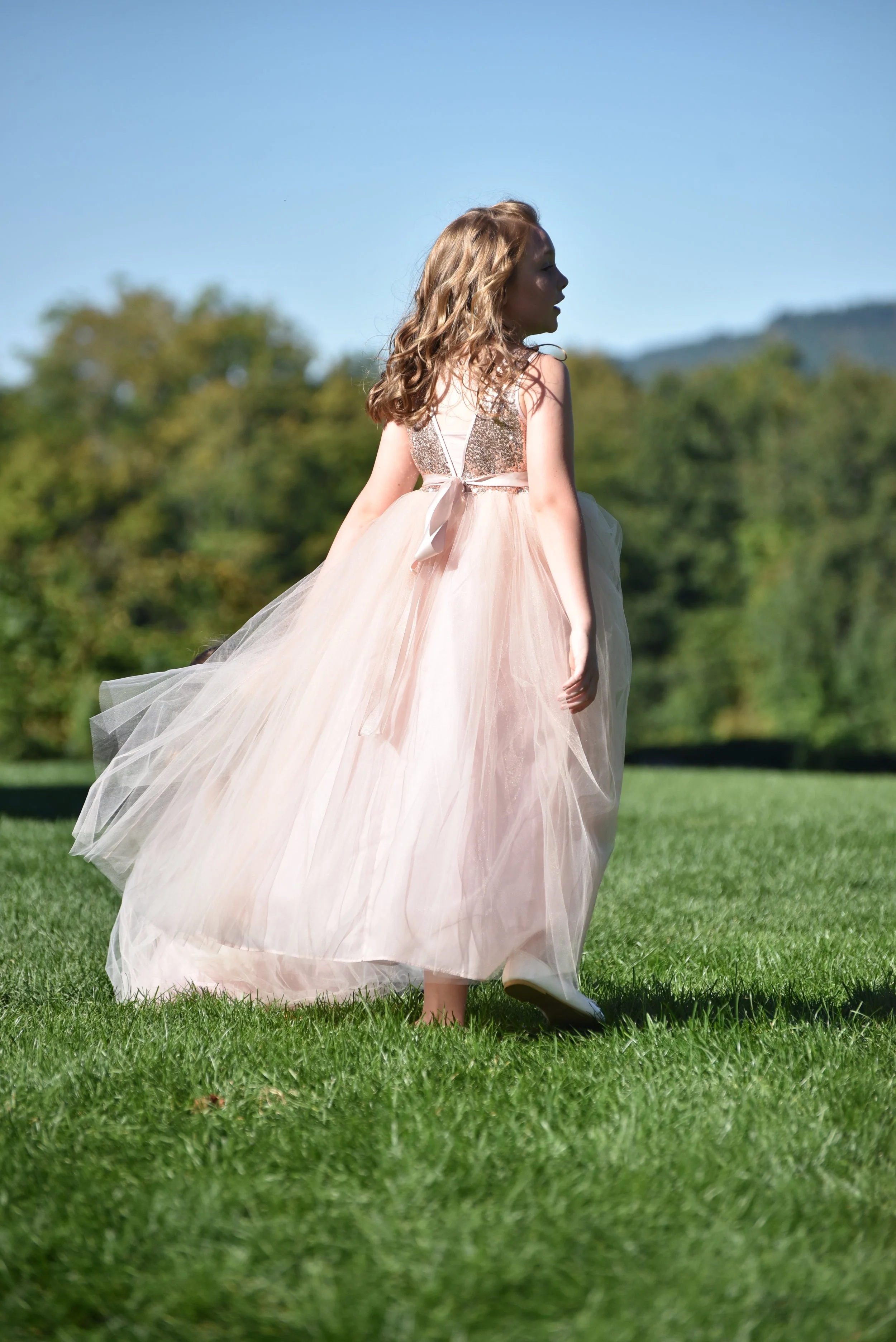 wedding photographer, wedding dress photographer,  family photos